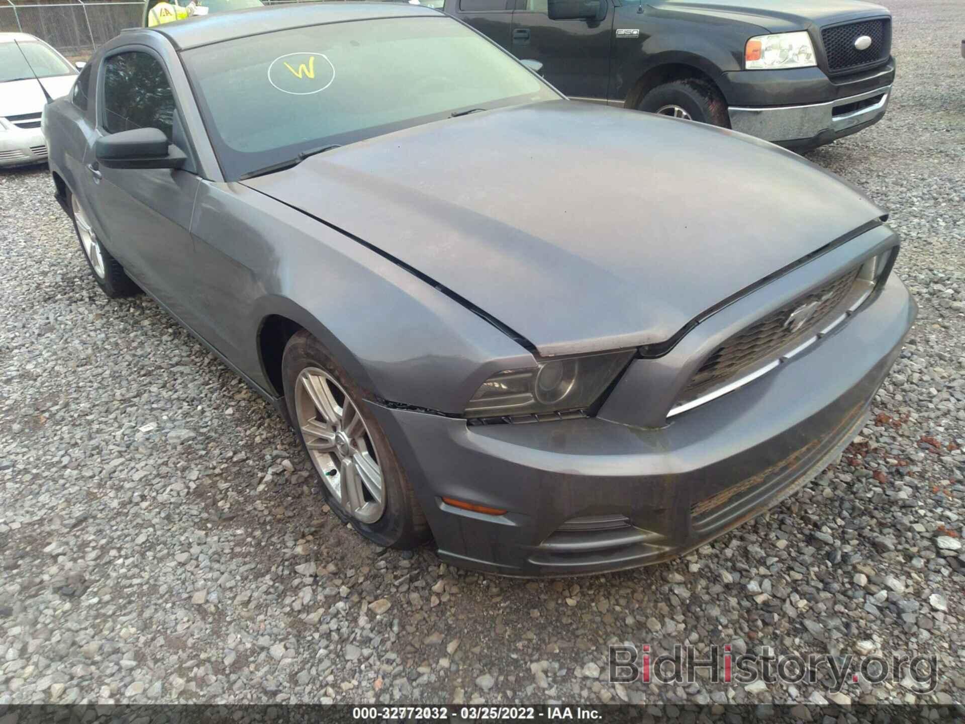 Photo 1ZVBP8AM5D5277639 - FORD MUSTANG 2013