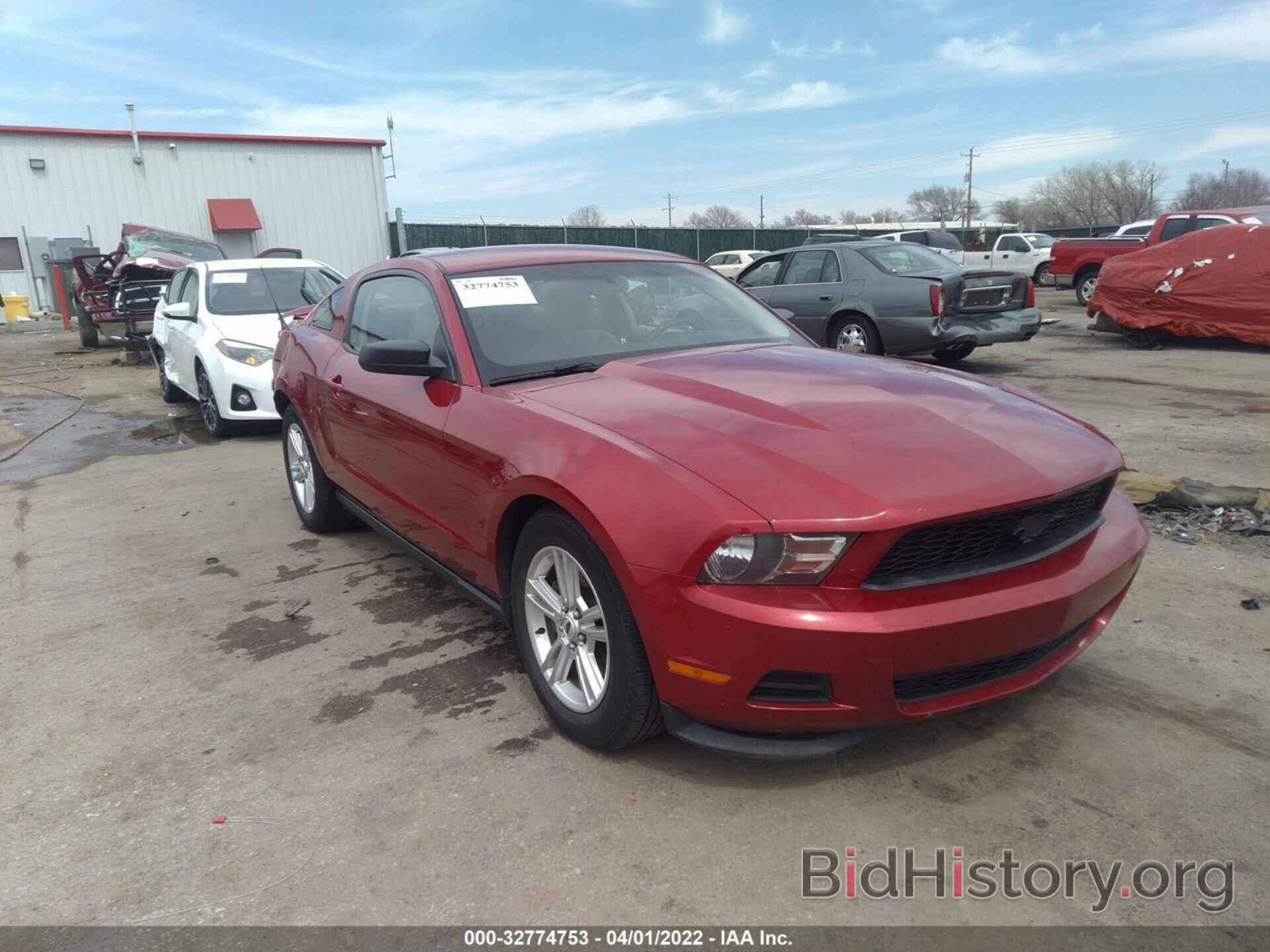 Photo 1ZVBP8AM5B5169017 - FORD MUSTANG 2011