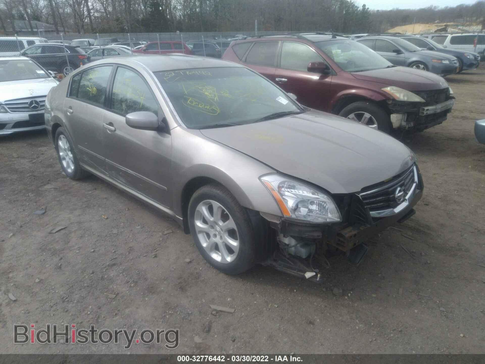 Photo 1N4BA41E18C821924 - NISSAN MAXIMA 2008