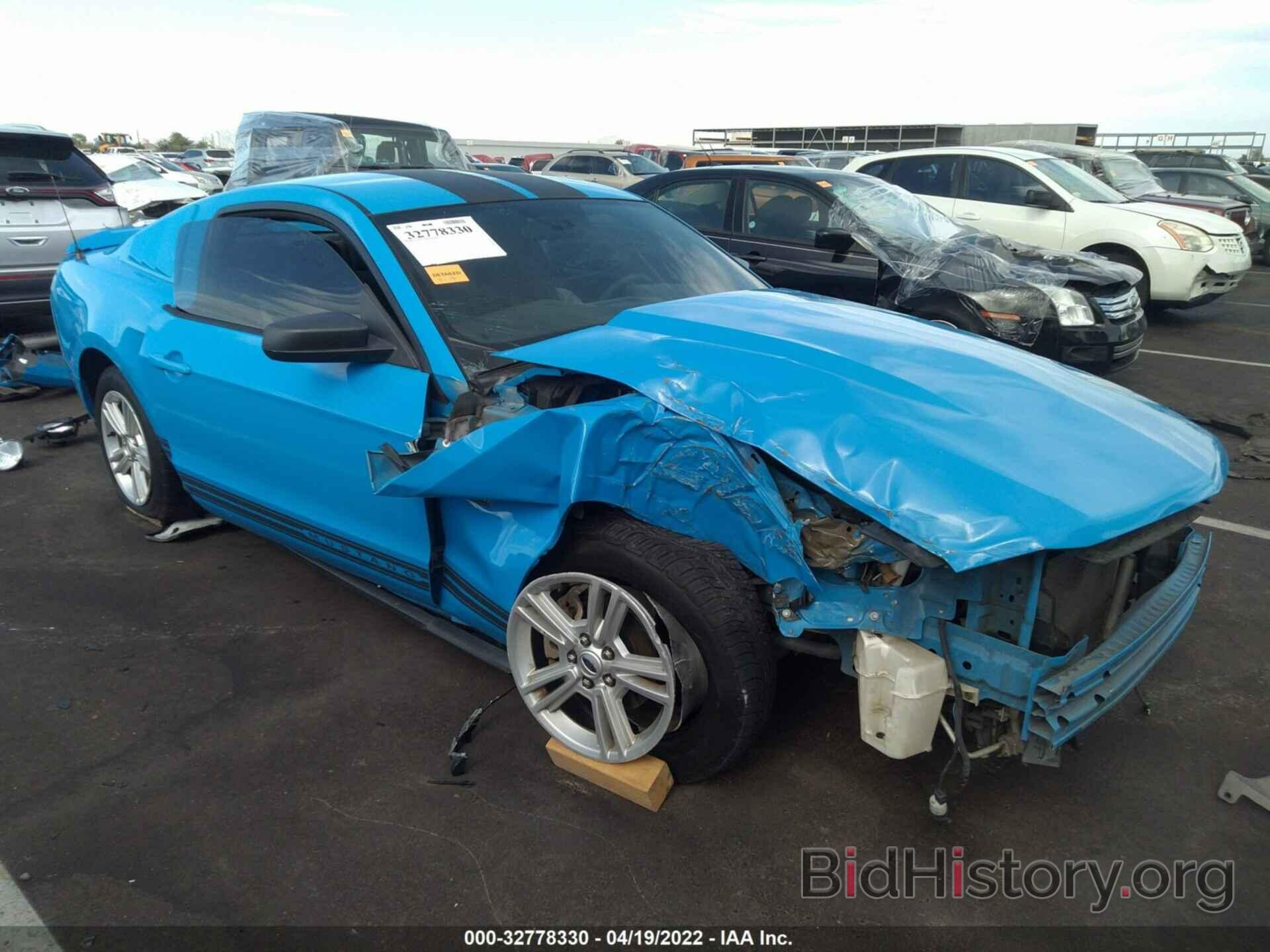 Photo 1ZVBP8AN7A5121087 - FORD MUSTANG 2010