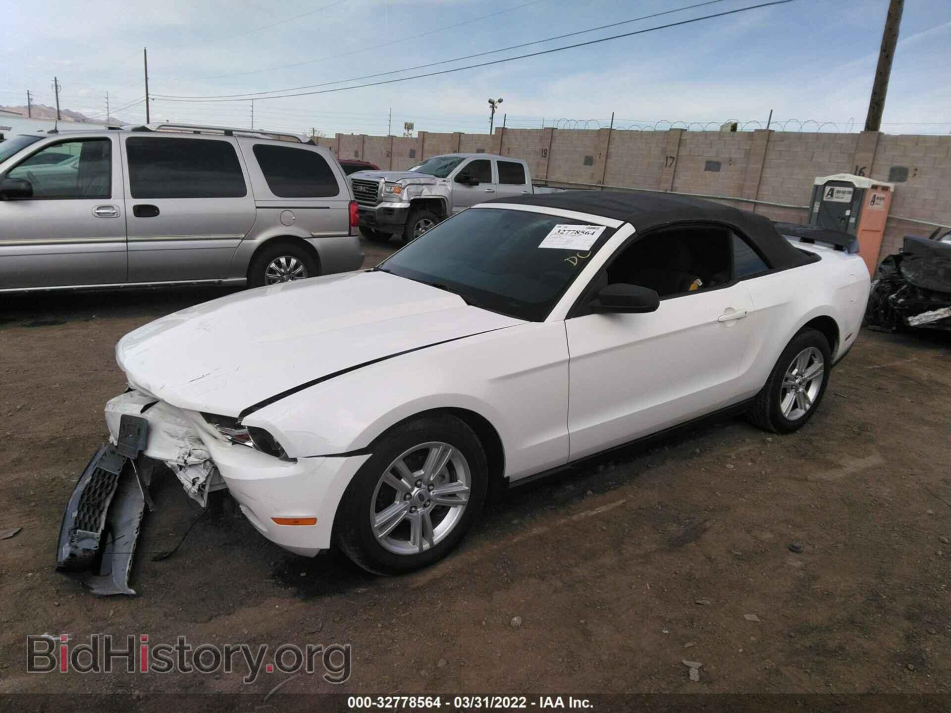 2010 FORD MUSTANG - VIN: 1ZVBP8EN8A5175668 - Фото 2