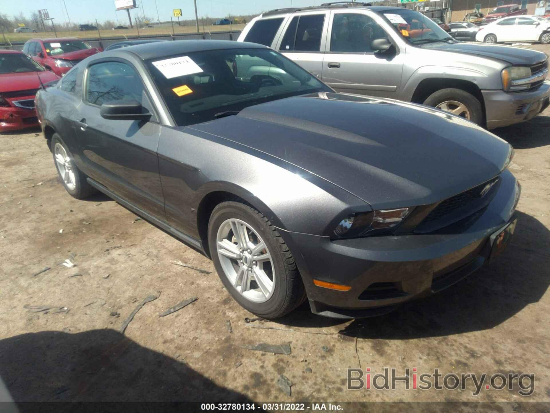 Photo 1ZVBP8AN9A5125562 - FORD MUSTANG 2010