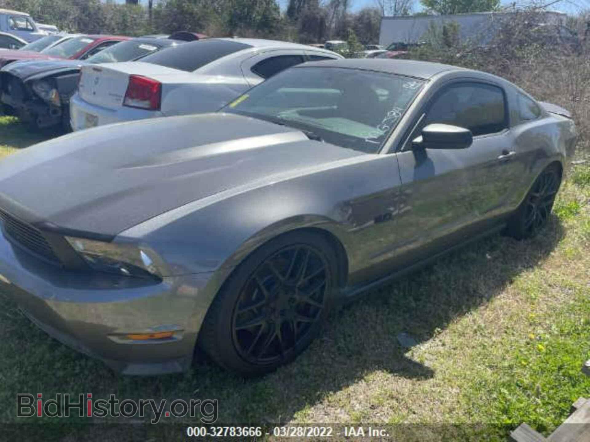 2011 FORD MUSTANG - VIN: 1ZVBP8CF6B5142567 - Фото 2