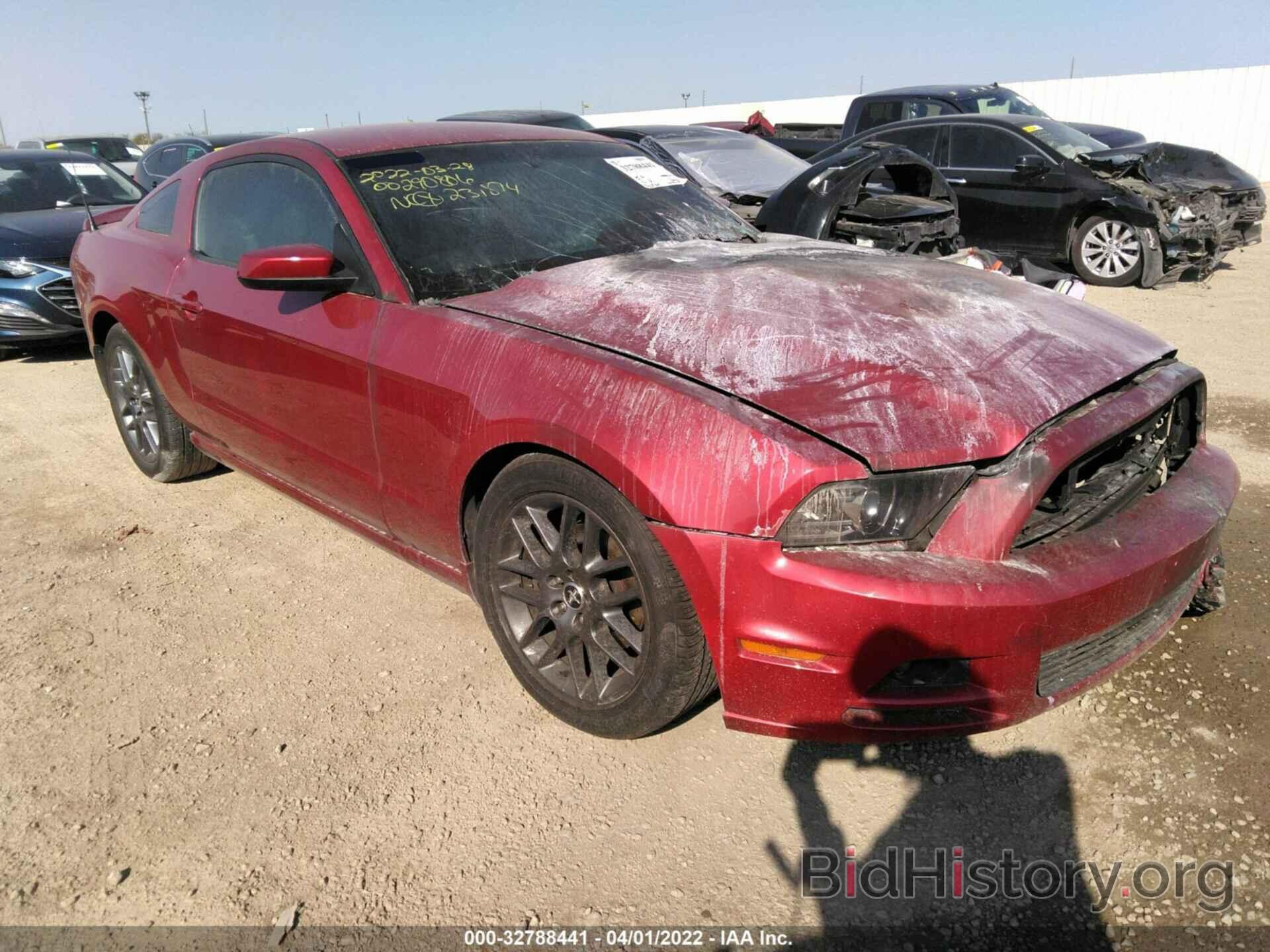 Photo 1ZVBP8AM5D5231874 - FORD MUSTANG 2013