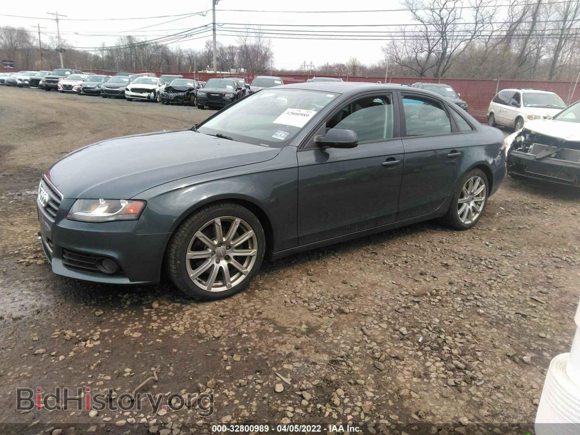 2010 AUDI A4 - VIN: WAUBFAFL7AN031908 - Фото 2