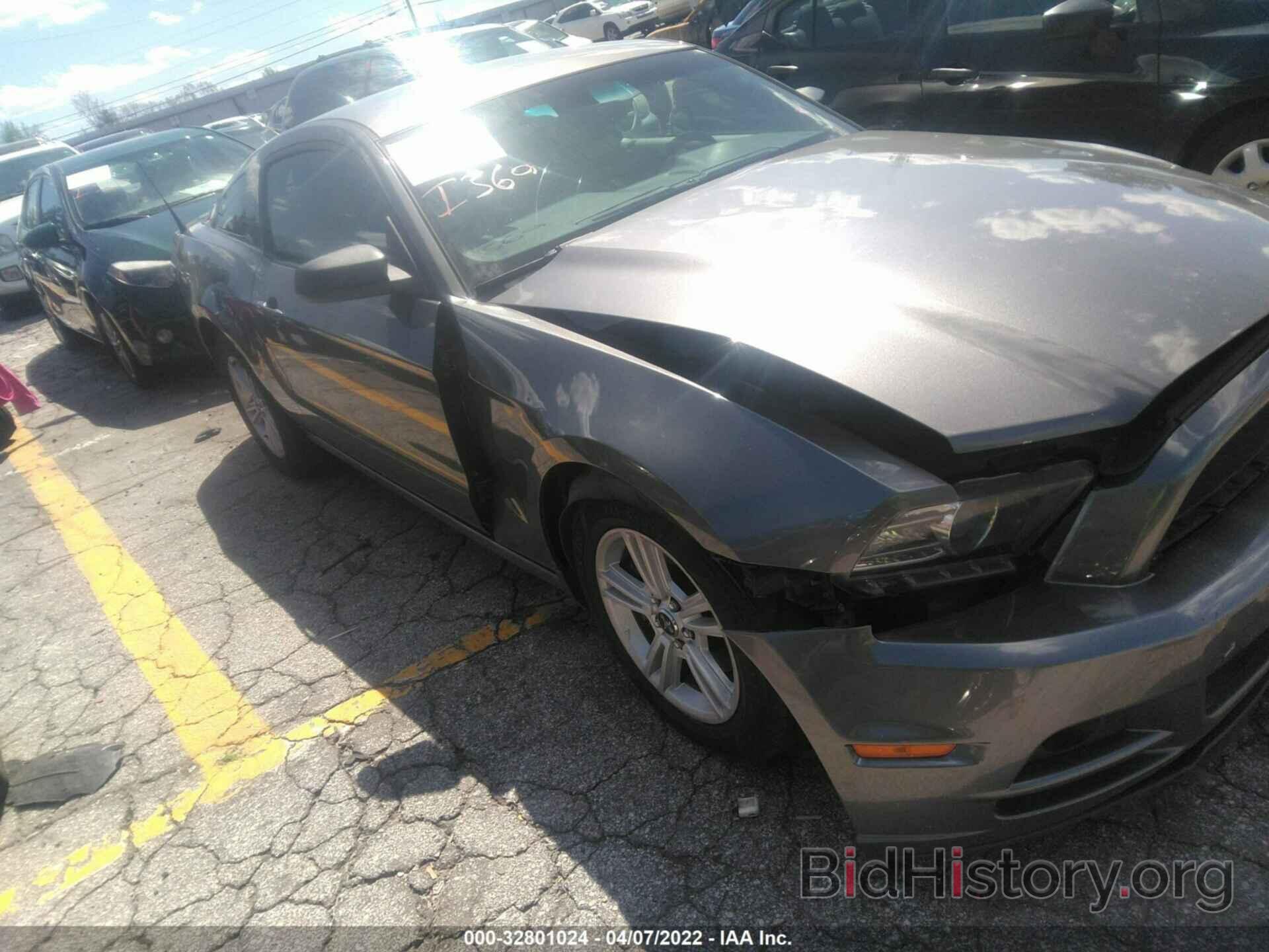 Photo 1ZVBP8AM1E5268602 - FORD MUSTANG 2014