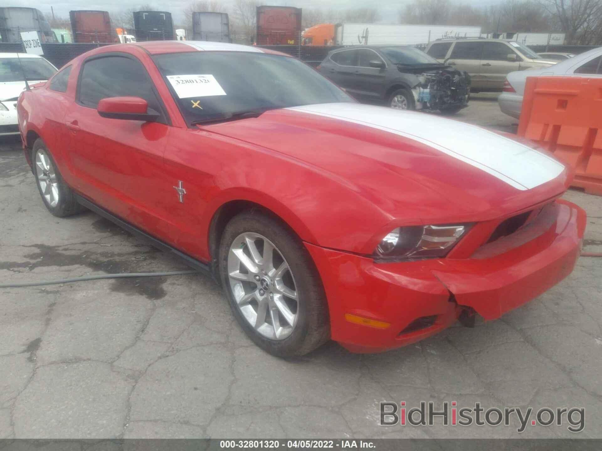 Photo 1ZVBP8AN2A5147175 - FORD MUSTANG 2010