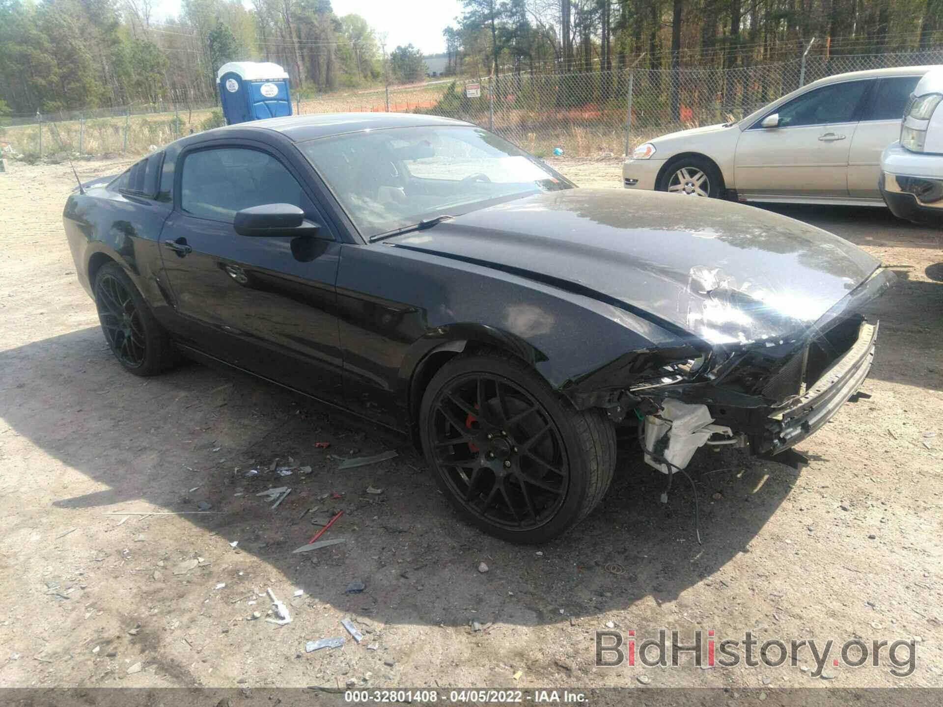 Photo 1ZVBP8AM4D5263361 - FORD MUSTANG 2013