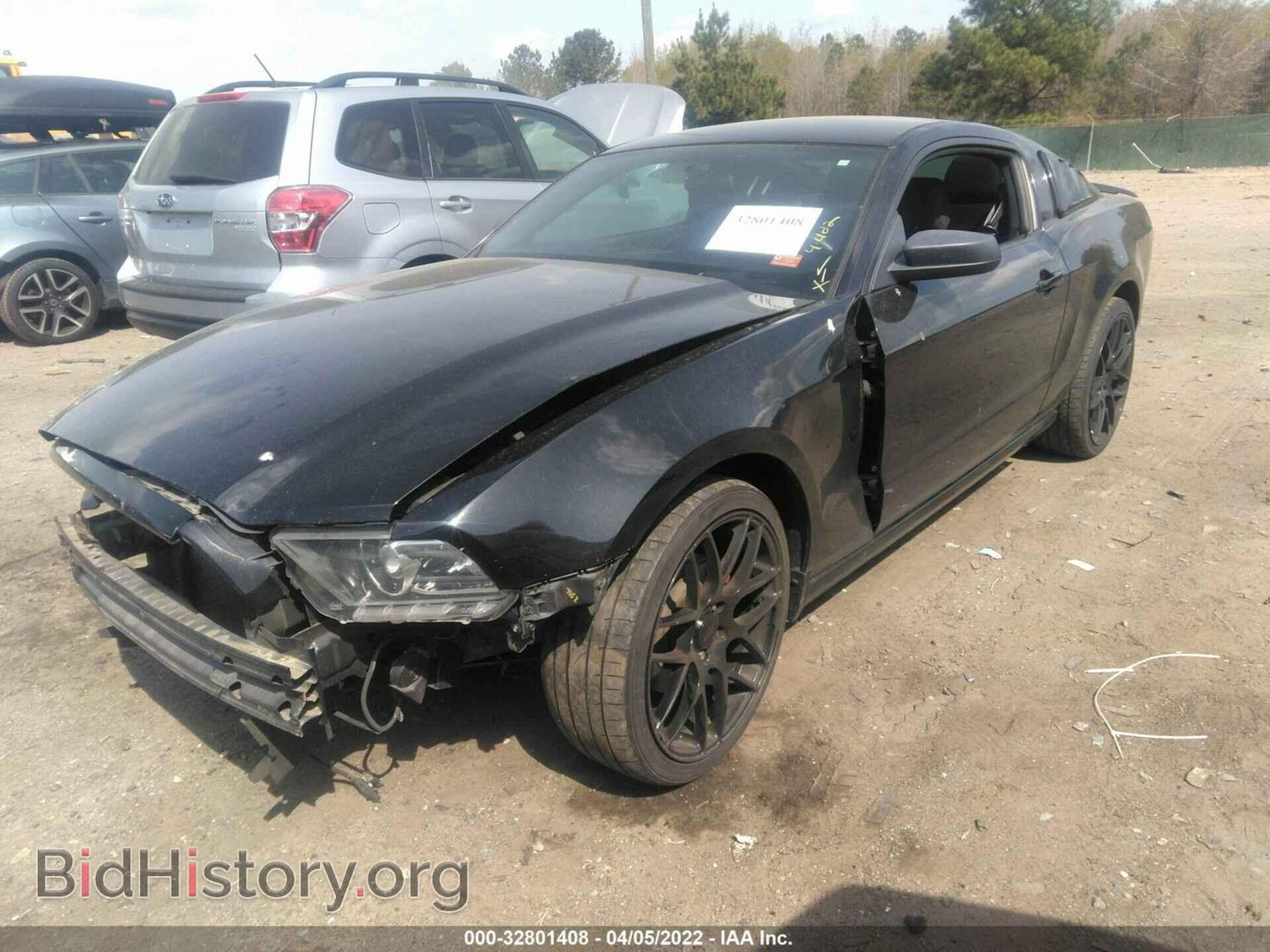 2013 FORD MUSTANG - VIN: 1ZVBP8AM4D5263361 - Фото 2