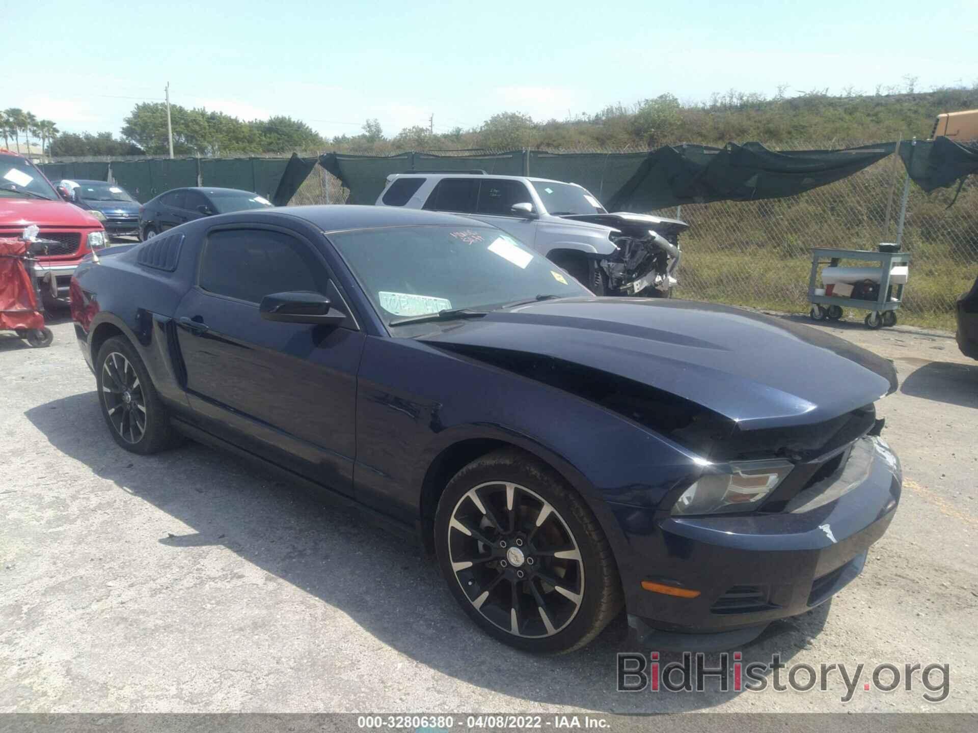 Photo 1ZVBP8AMXC5244683 - FORD MUSTANG 2012