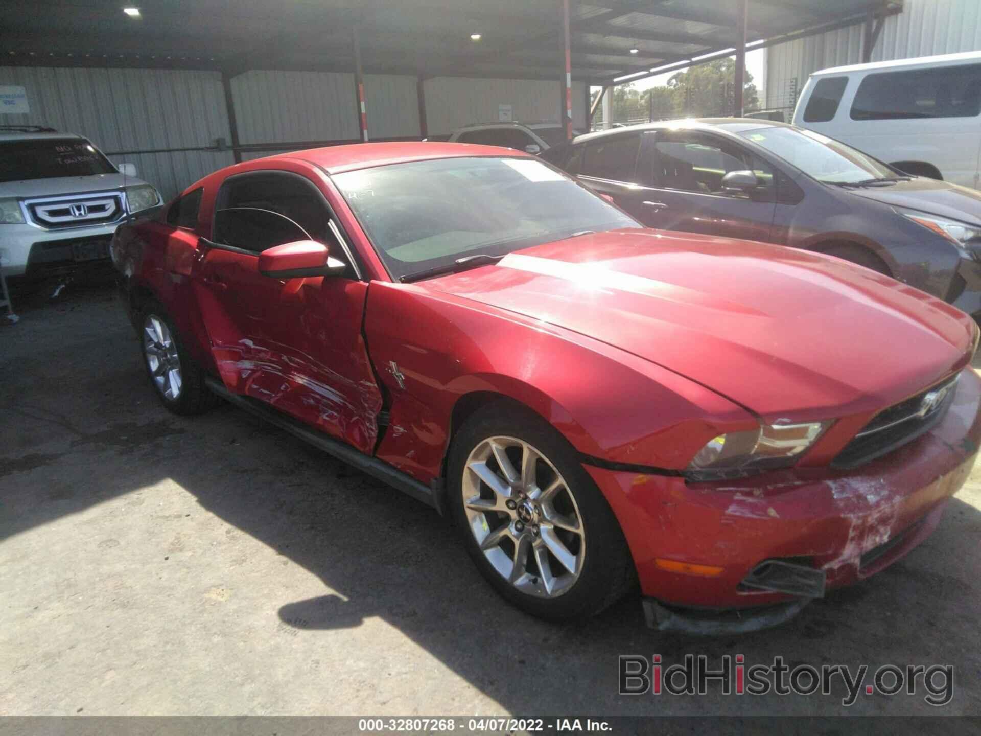 Photo 1ZVBP8AN2A5176272 - FORD MUSTANG 2010