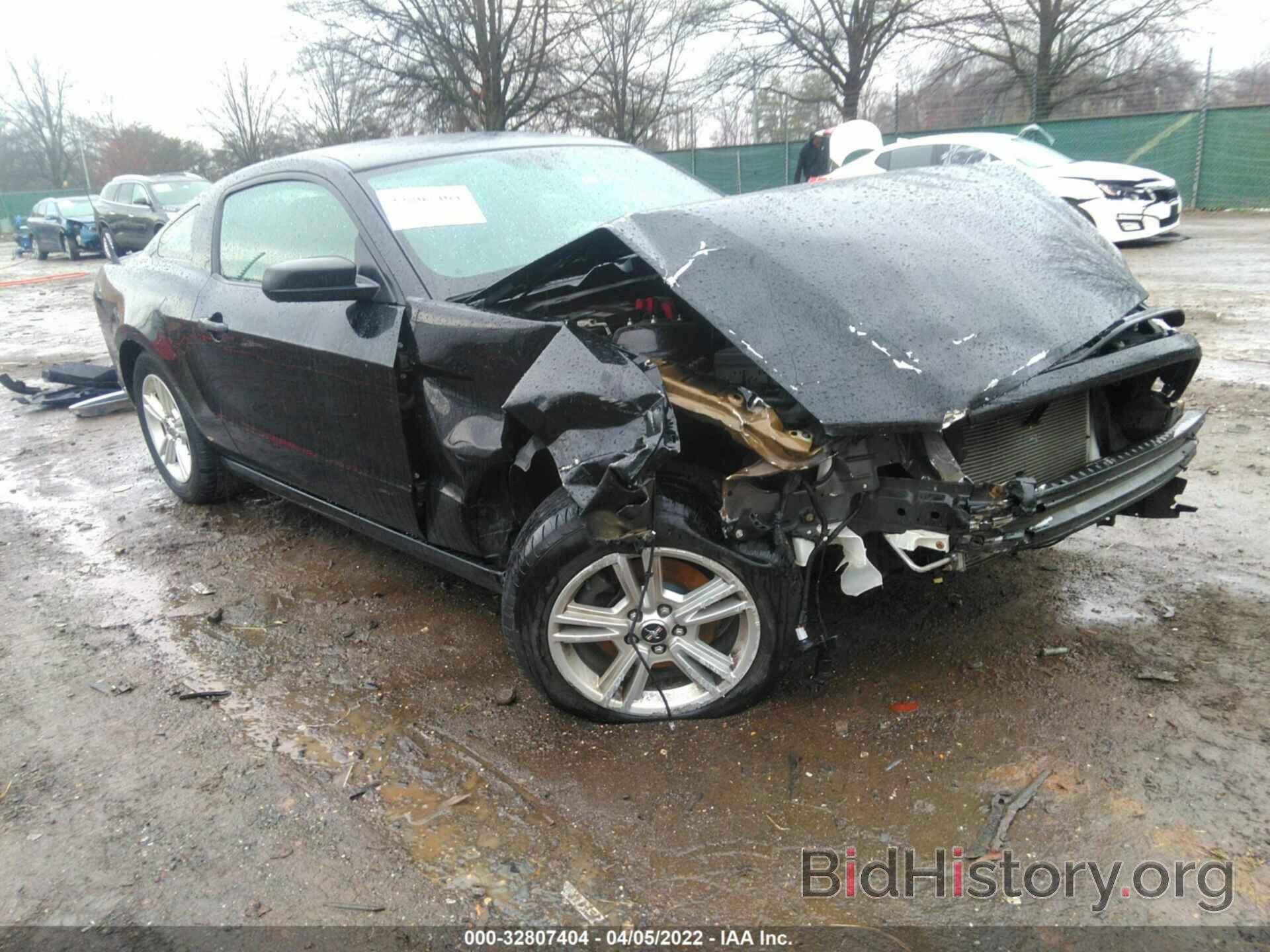 Photo 1ZVBP8AM7E5235622 - FORD MUSTANG 2014