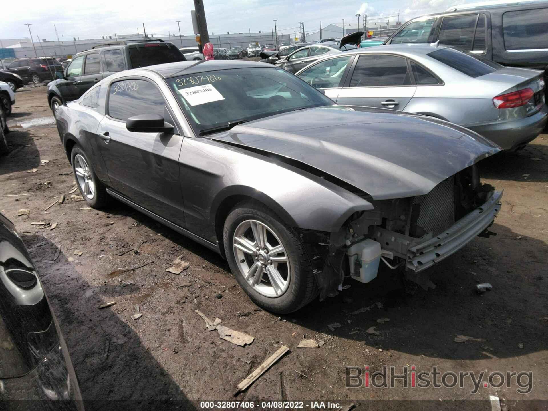 Photo 1ZVBP8AM3E5321722 - FORD MUSTANG 2014
