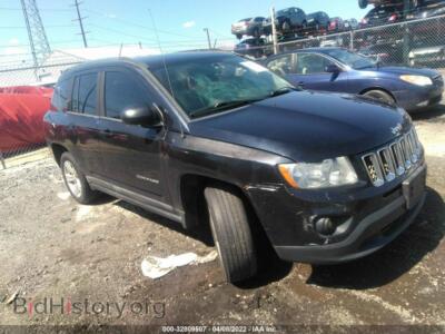 2011 Jeep COMPASS, blue — VIN 1J4NT1FA1BD139370, IAAI