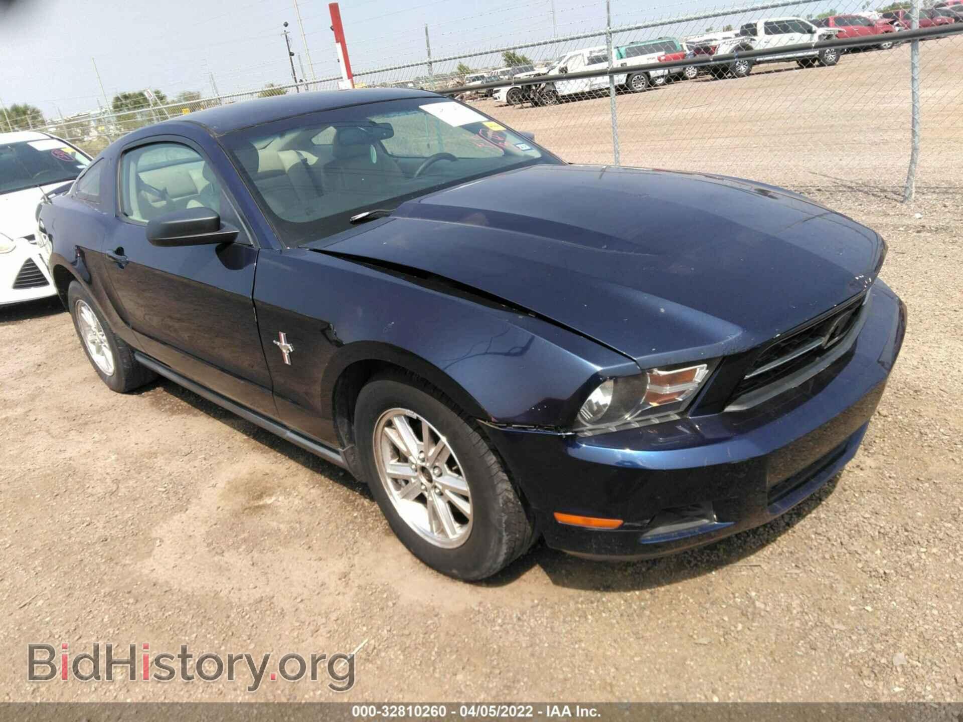 Фотография 1ZVBP8AN6A5143503 - FORD MUSTANG 2010