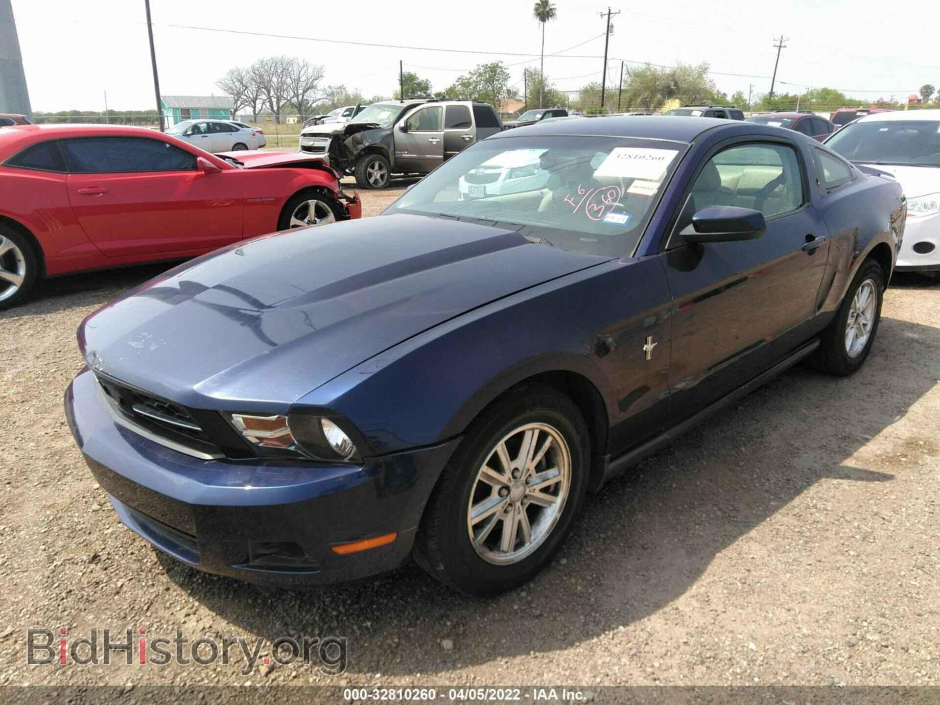 2010 FORD MUSTANG - VIN: 1ZVBP8AN6A5143503 - Фото 2