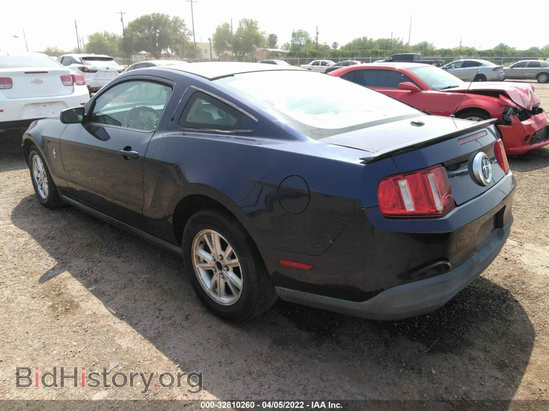 2010 FORD MUSTANG - VIN: 1ZVBP8AN6A5143503 - Фото 3