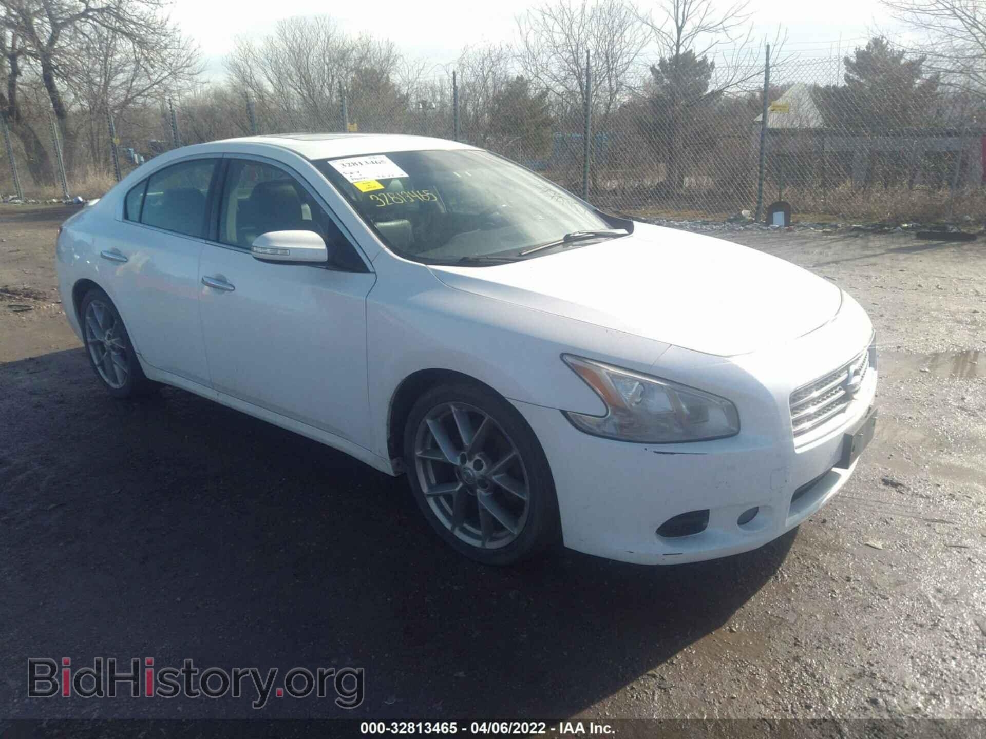 Фотография 1N4AA5AP0BC831807 - NISSAN MAXIMA 2011