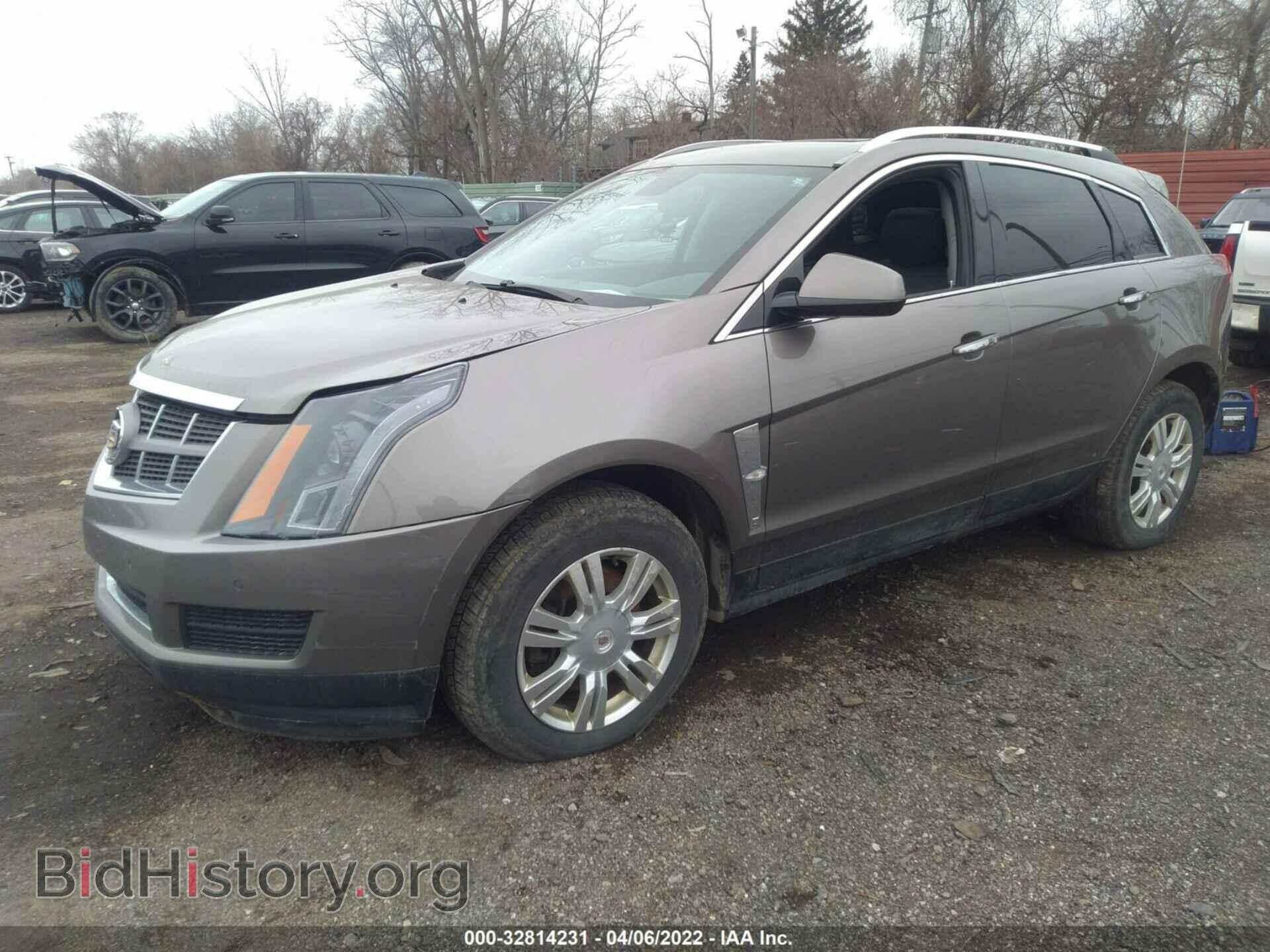 2011 CADILLAC SRX - VIN: 3GYFNAEY2BS519640 - Фото 2