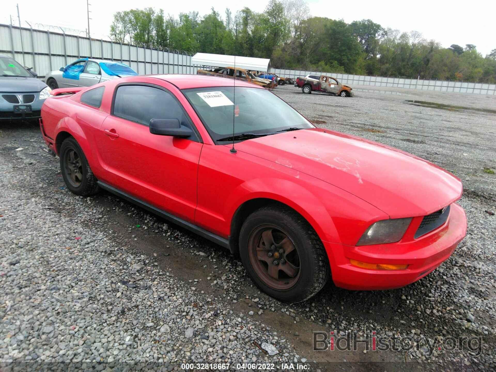 Photo 1ZVFT80N165156651 - FORD MUSTANG 2006
