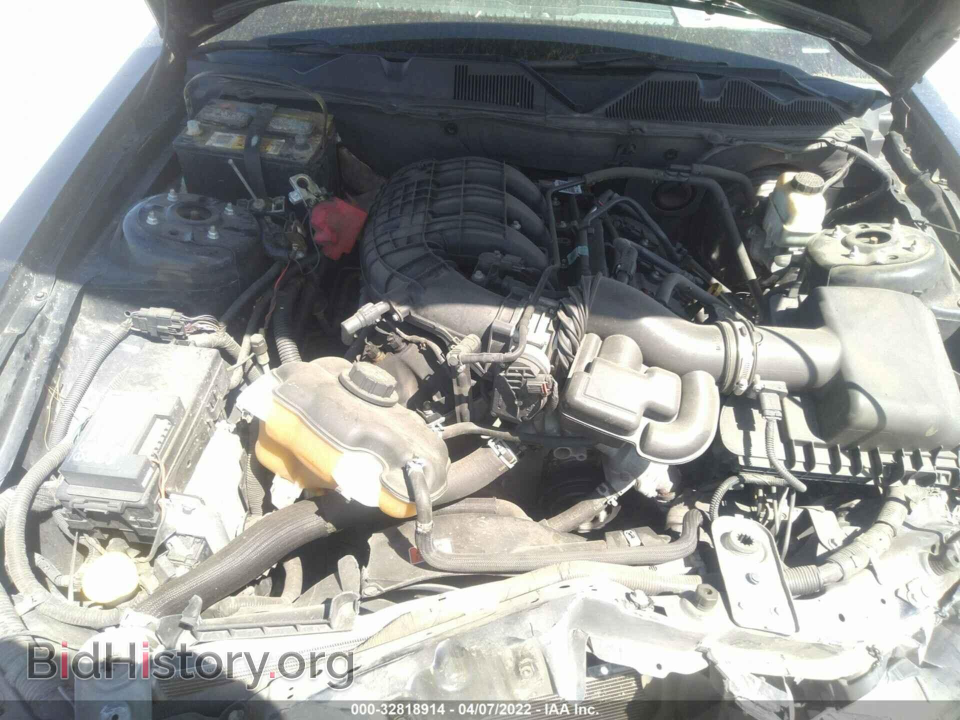 2014 FORD MUSTANG - VIN: 1ZVBP8AM3E5316455 - Фото 10
