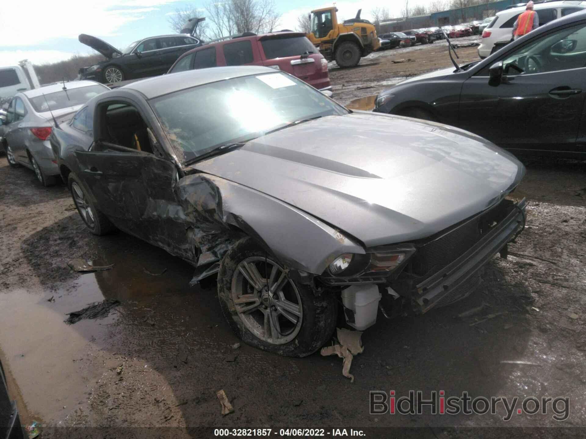 Photo 1ZVBP8AN8A5146547 - FORD MUSTANG 2010