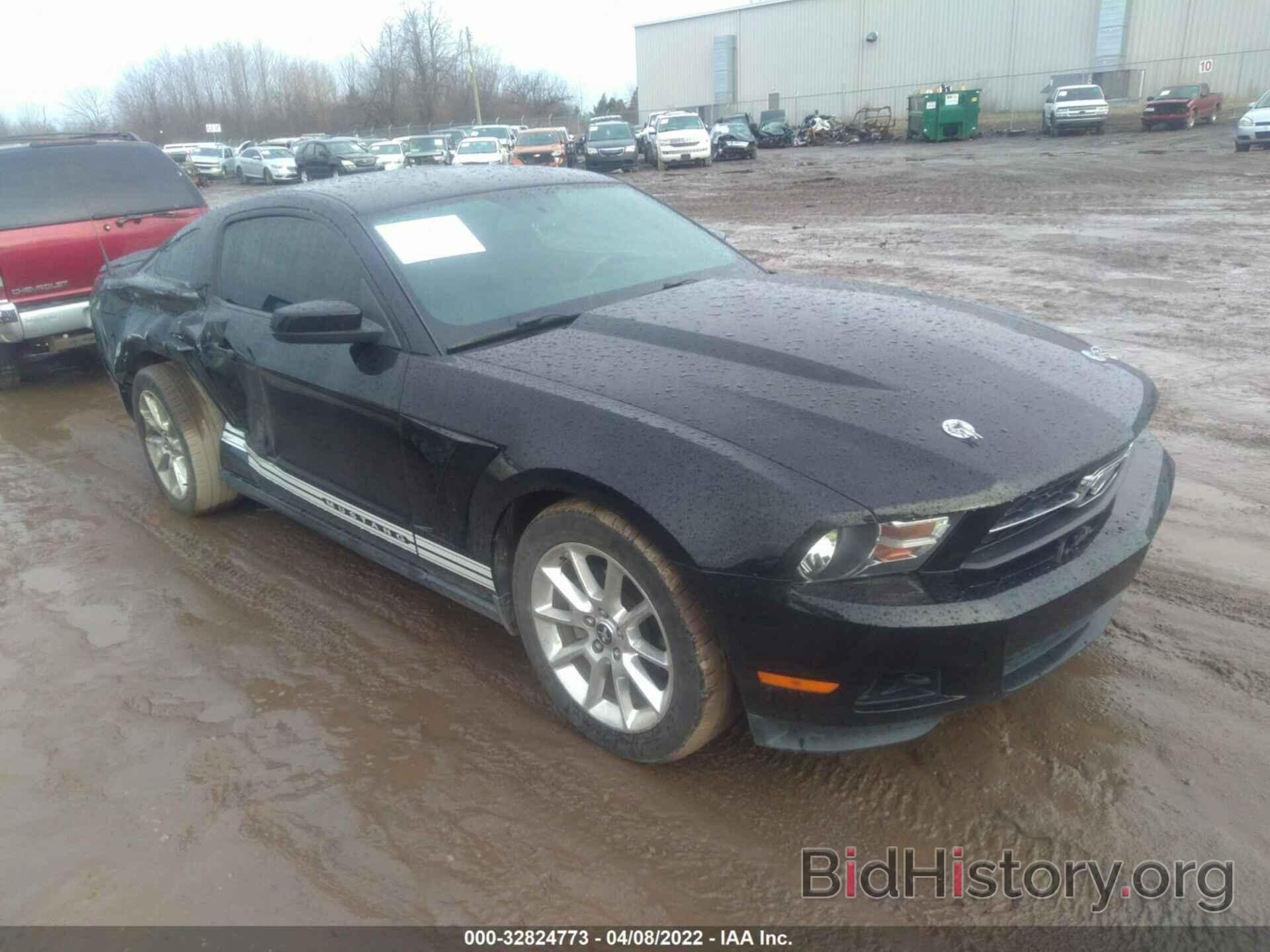 Photo 1ZVBP8AN8A5103701 - FORD MUSTANG 2010
