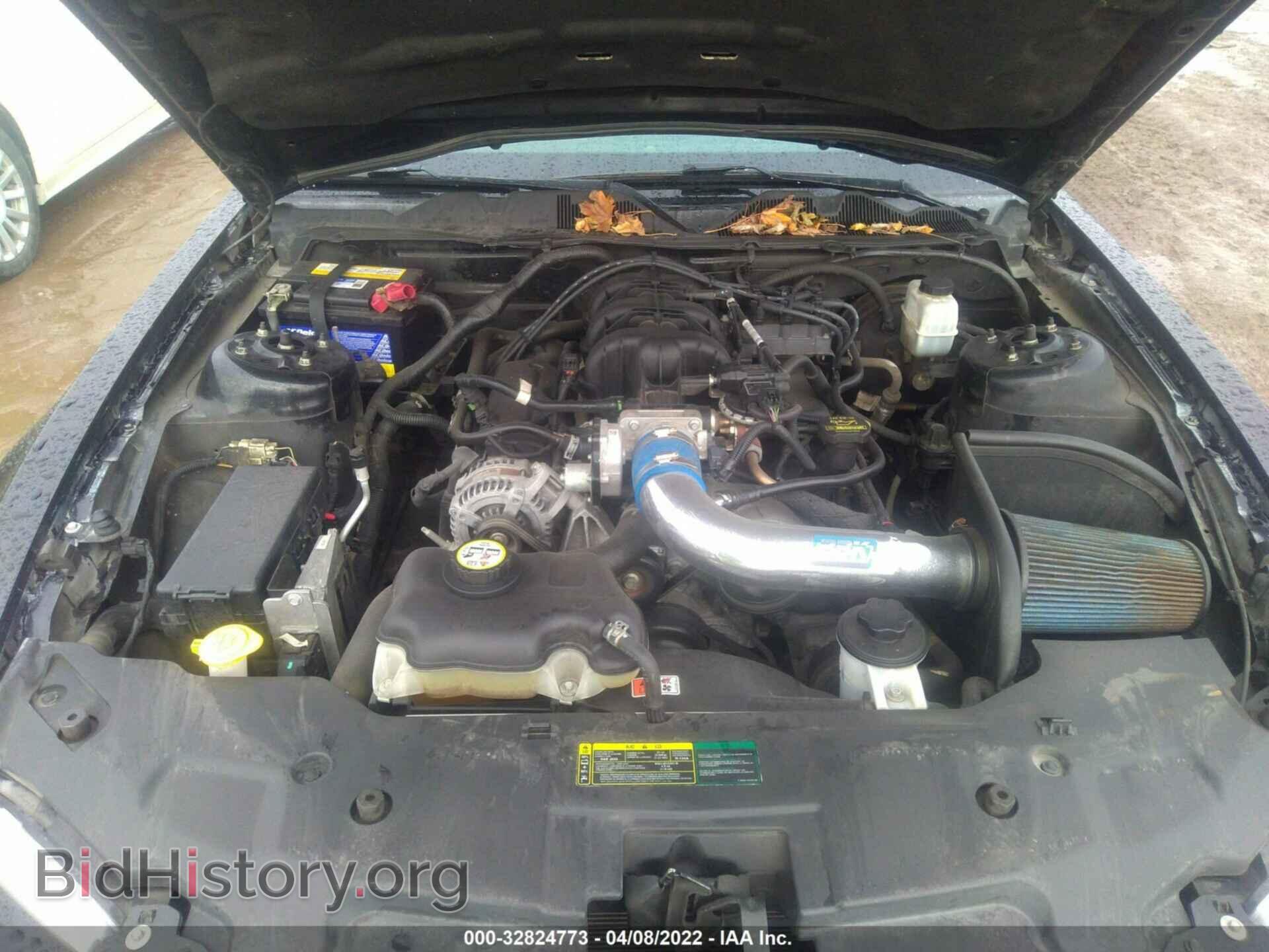 2010 FORD MUSTANG - VIN: 1ZVBP8AN8A5103701 - Фото 10