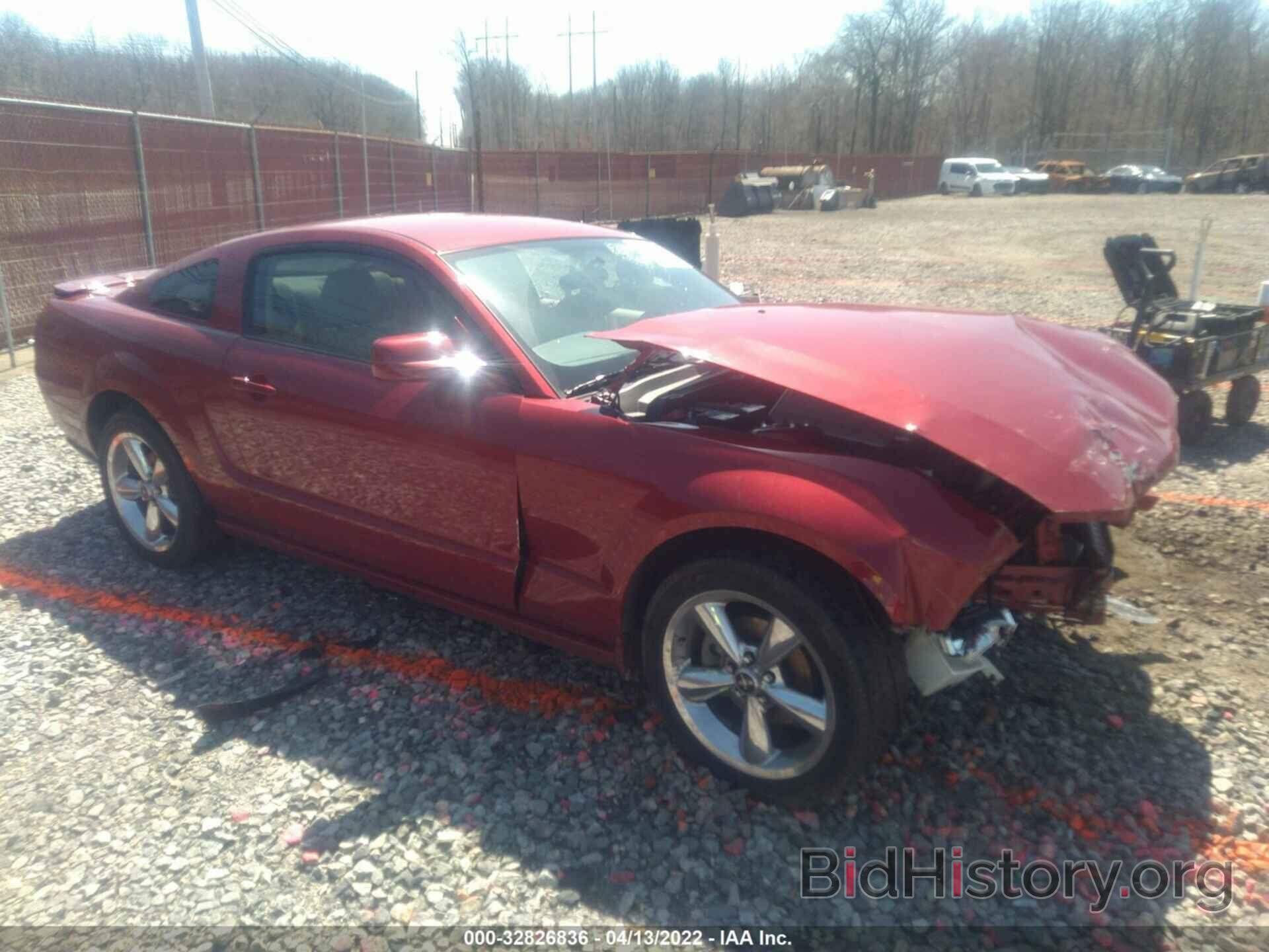 Photo 1ZVHT80N985162502 - FORD MUSTANG 2008