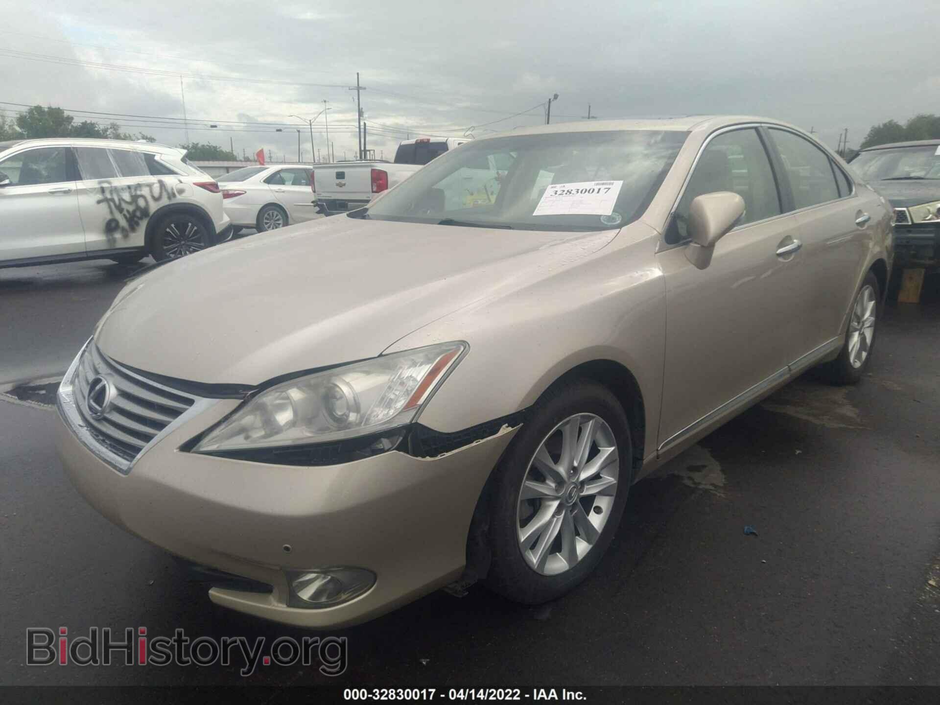 2011 LEXUS ES 350 - VIN: JTHBK1EG4B2444504 - Фото 2