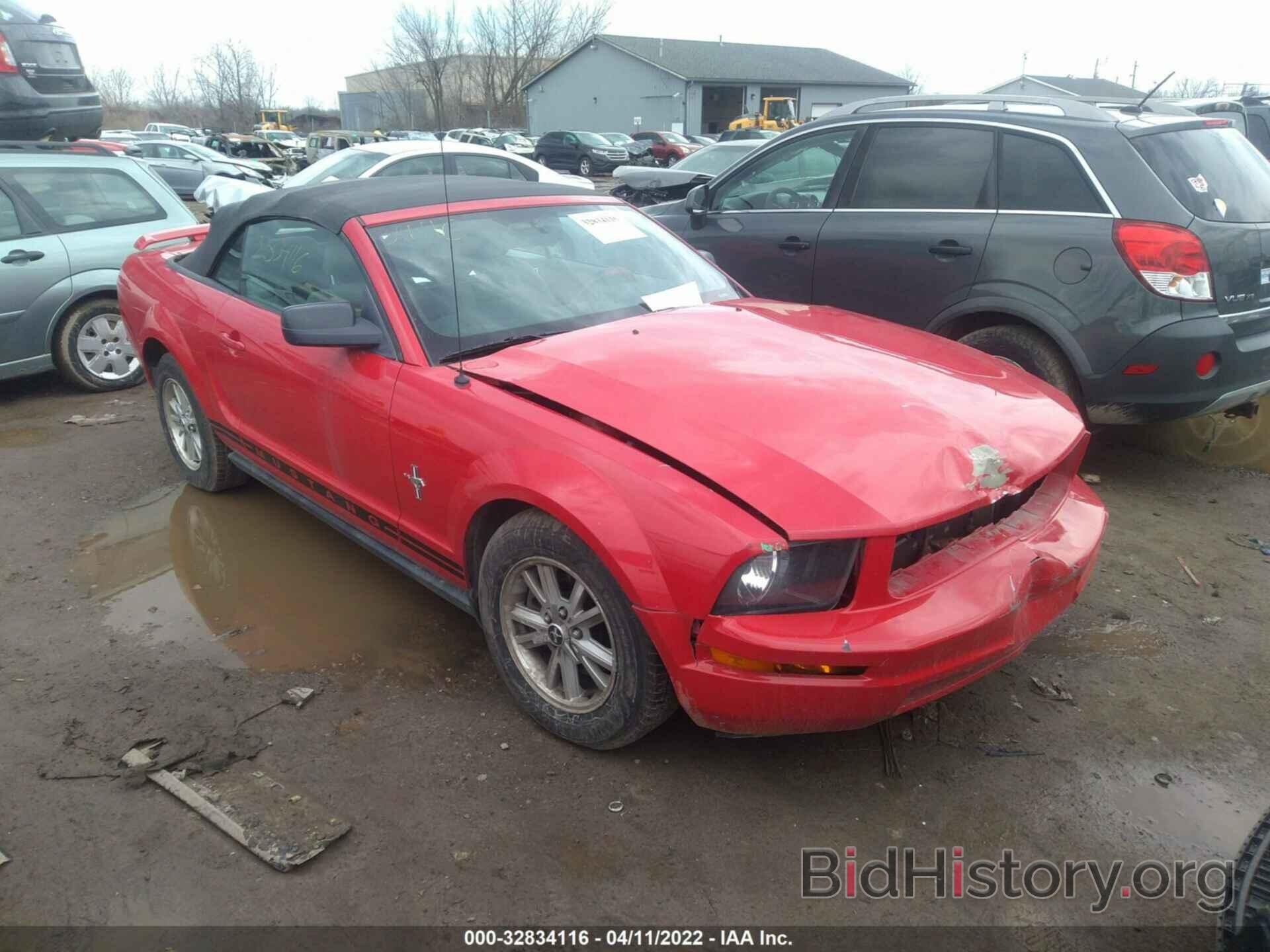 Photo 1ZVFT84N465188200 - FORD MUSTANG 2006