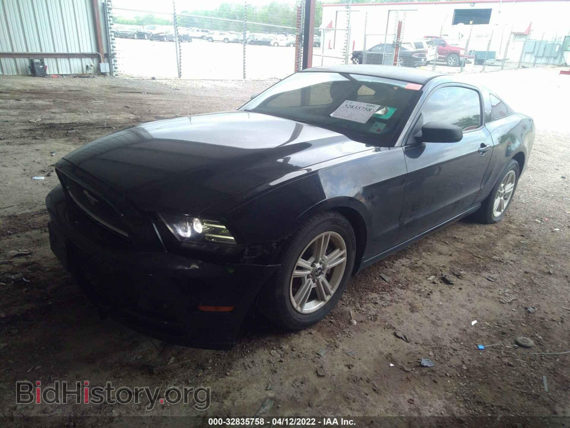 2013 FORD MUSTANG - VIN: 1ZVBP8AM5D5263434 - Фото 2