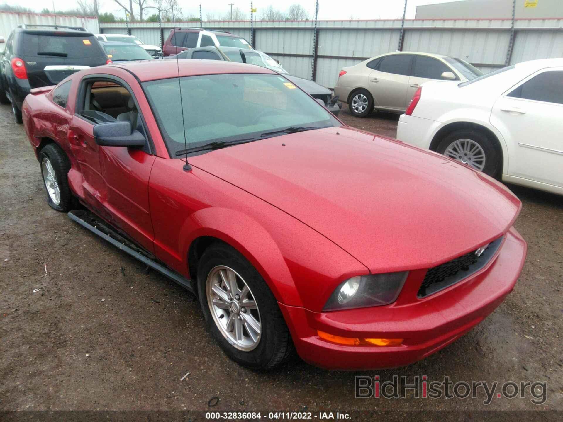 Photo 1ZVHT80N785122953 - FORD MUSTANG 2008