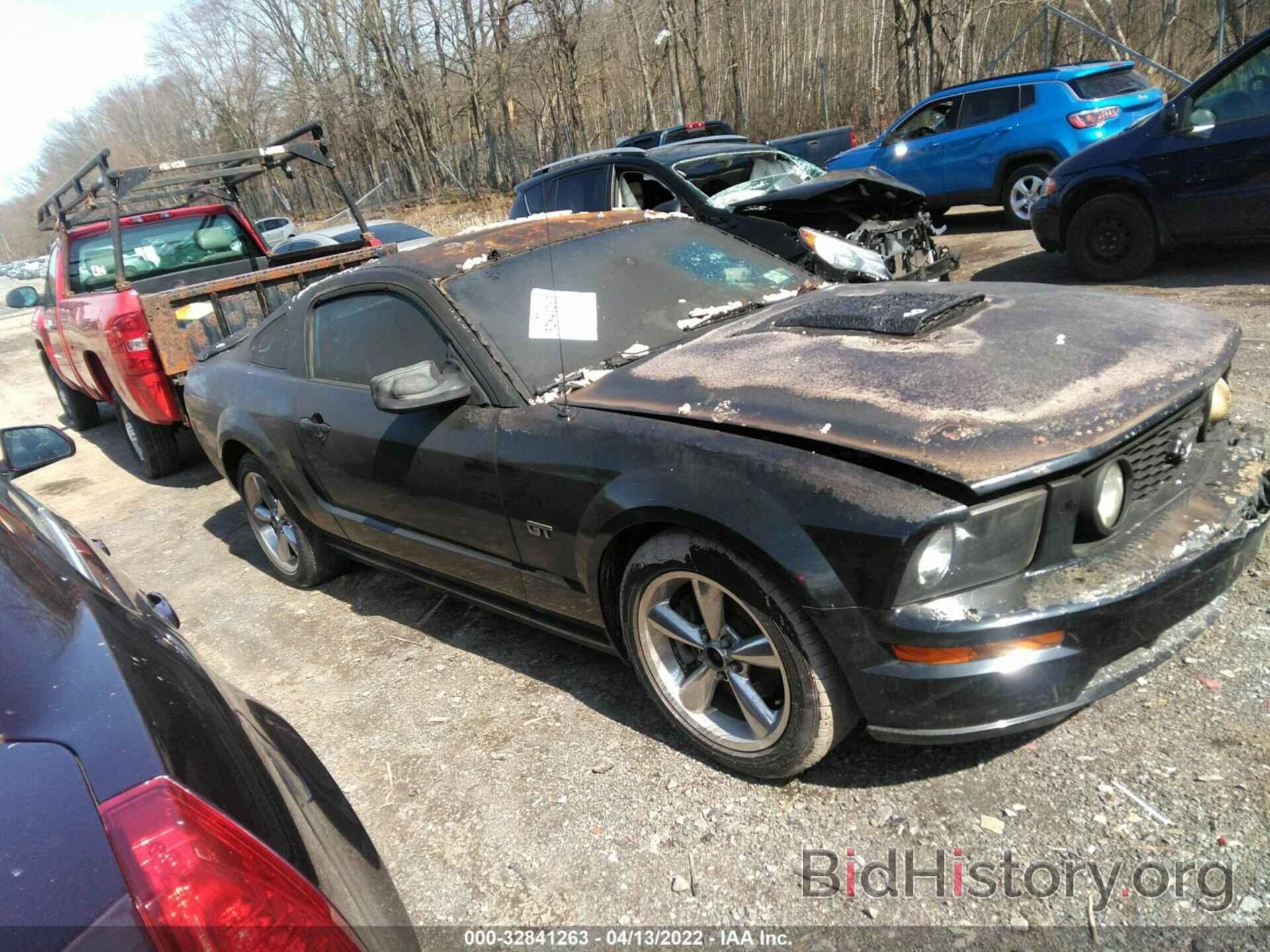 Photo 1ZVHT82H775289982 - FORD MUSTANG 2007