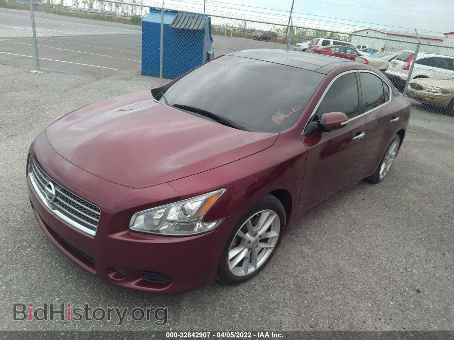2009 NISSAN MAXIMA - VIN: 1N4AA51E69C844280 - Фото 2