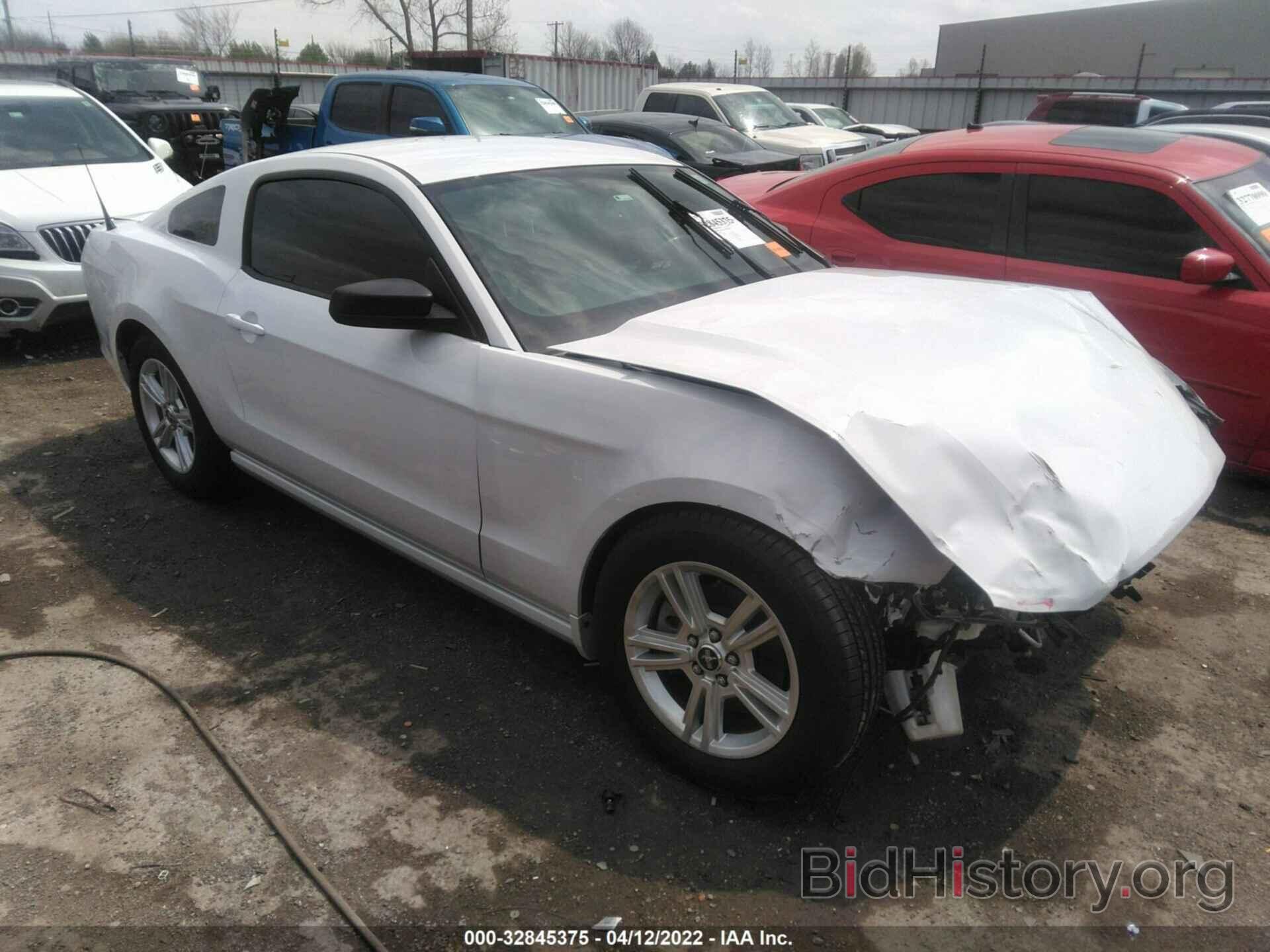 Photo 1ZVBP8AM7E5332562 - FORD MUSTANG 2014