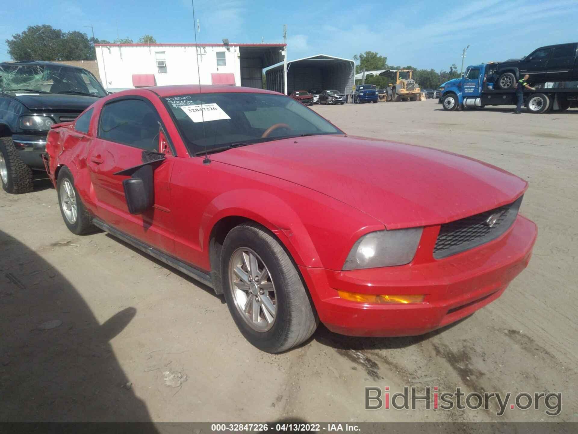 Photo 1ZVHT80N485175187 - FORD MUSTANG 2008