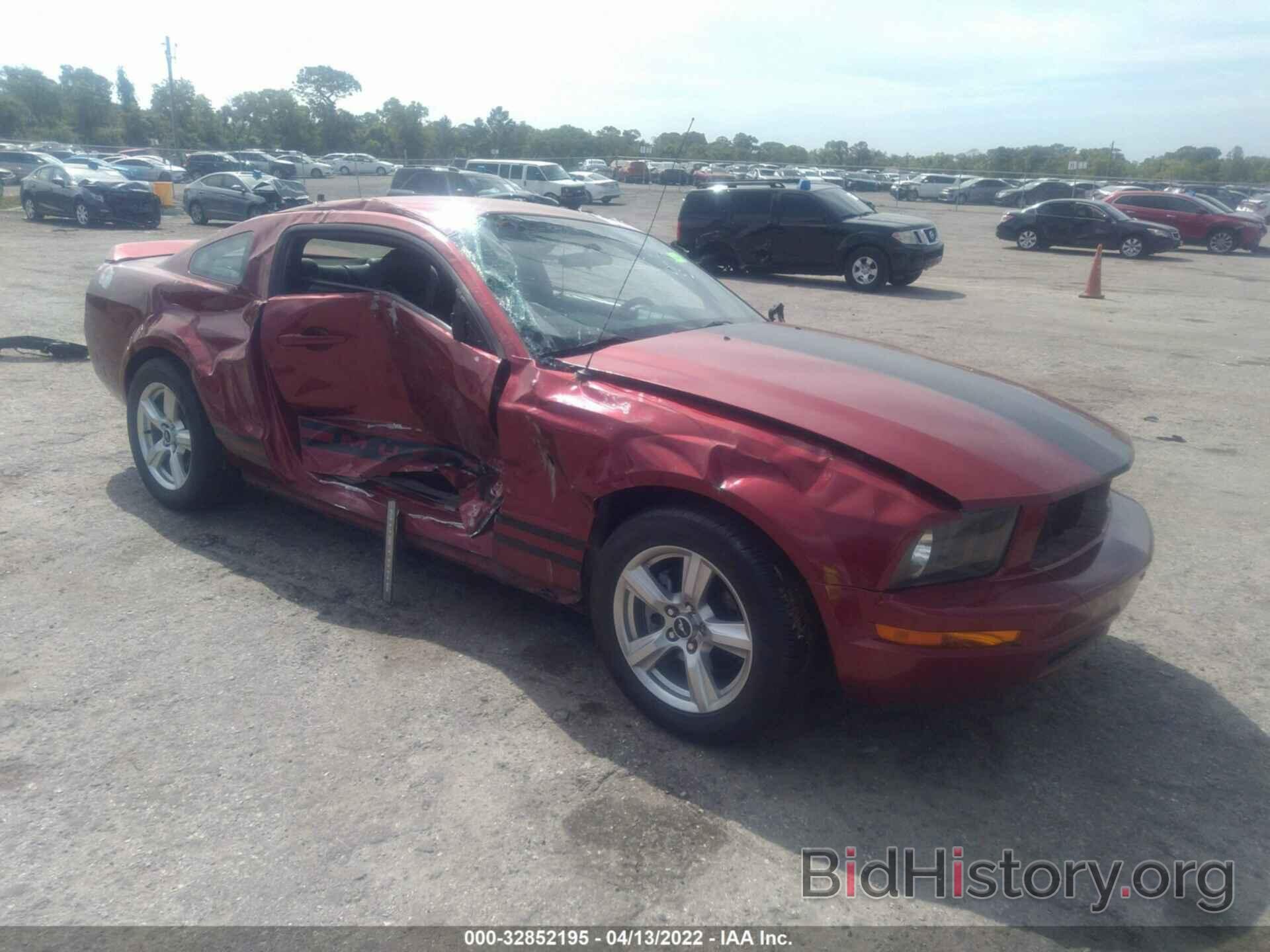 Photo 1ZVFT80N375244957 - FORD MUSTANG 2007