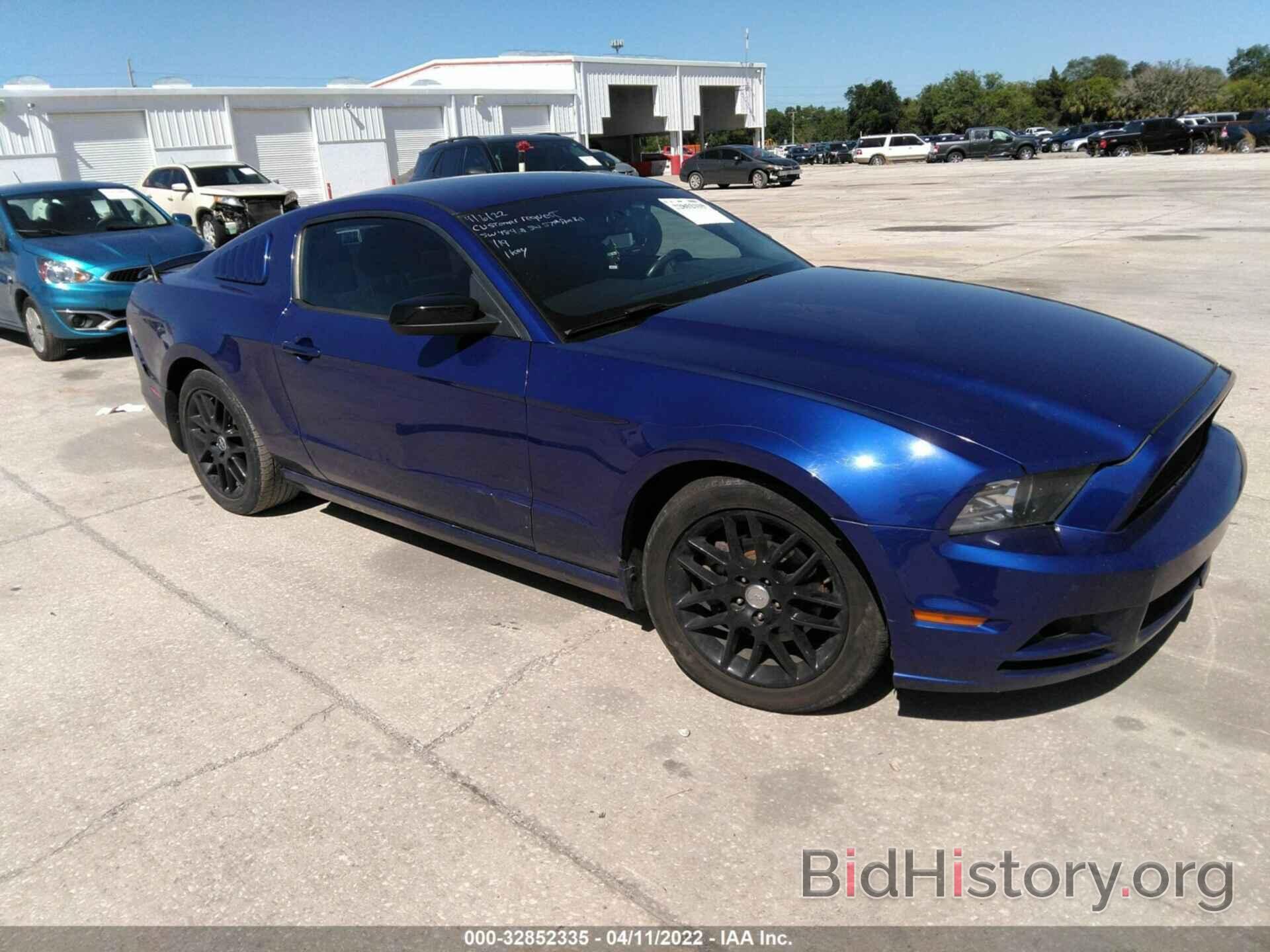 Photo 1ZVBP8AM2E5325082 - FORD MUSTANG 2014