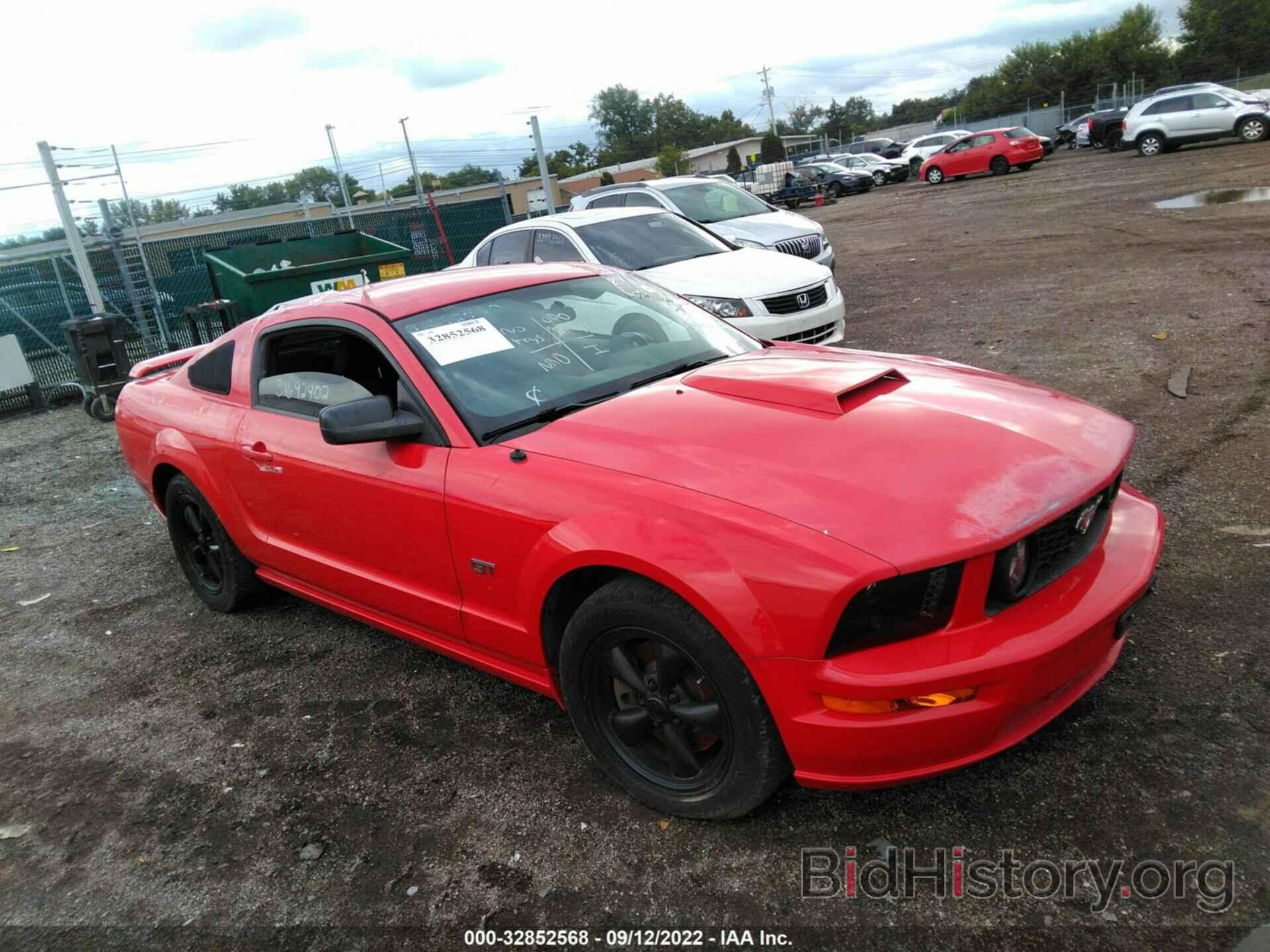 Photo 1ZVFT82H165164305 - FORD MUSTANG 2006
