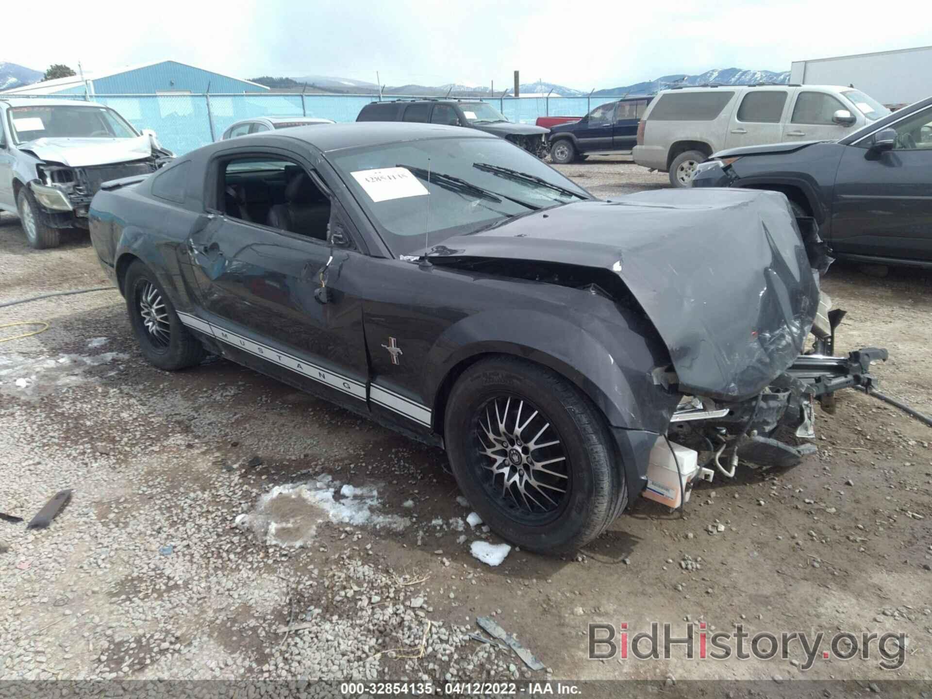 Photo 1ZVHT80N485135367 - FORD MUSTANG 2008