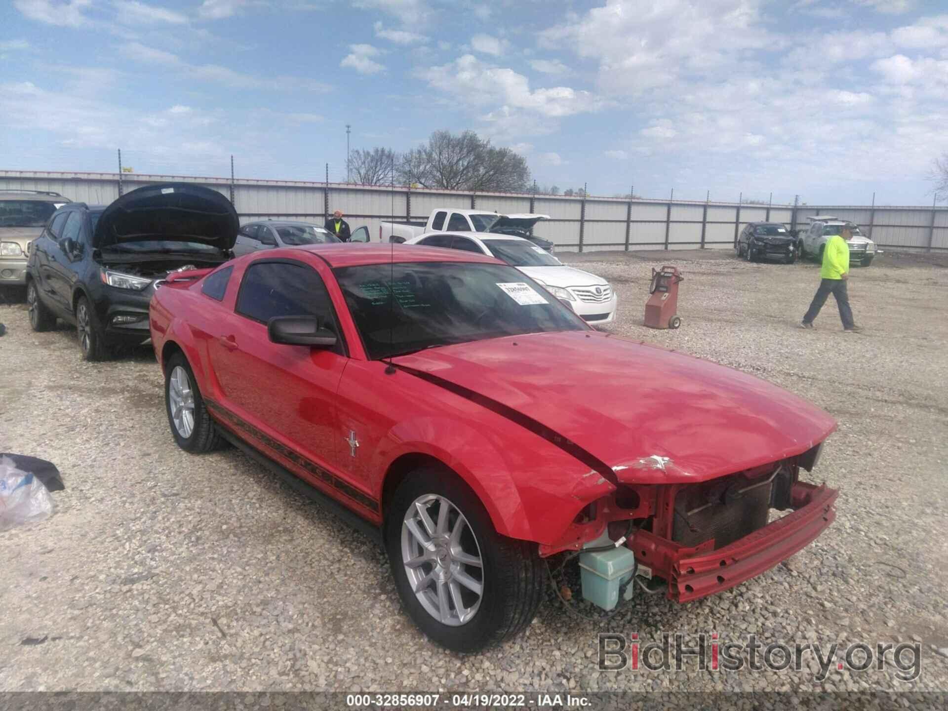 Photo 1ZVFT80N865205120 - FORD MUSTANG 2006