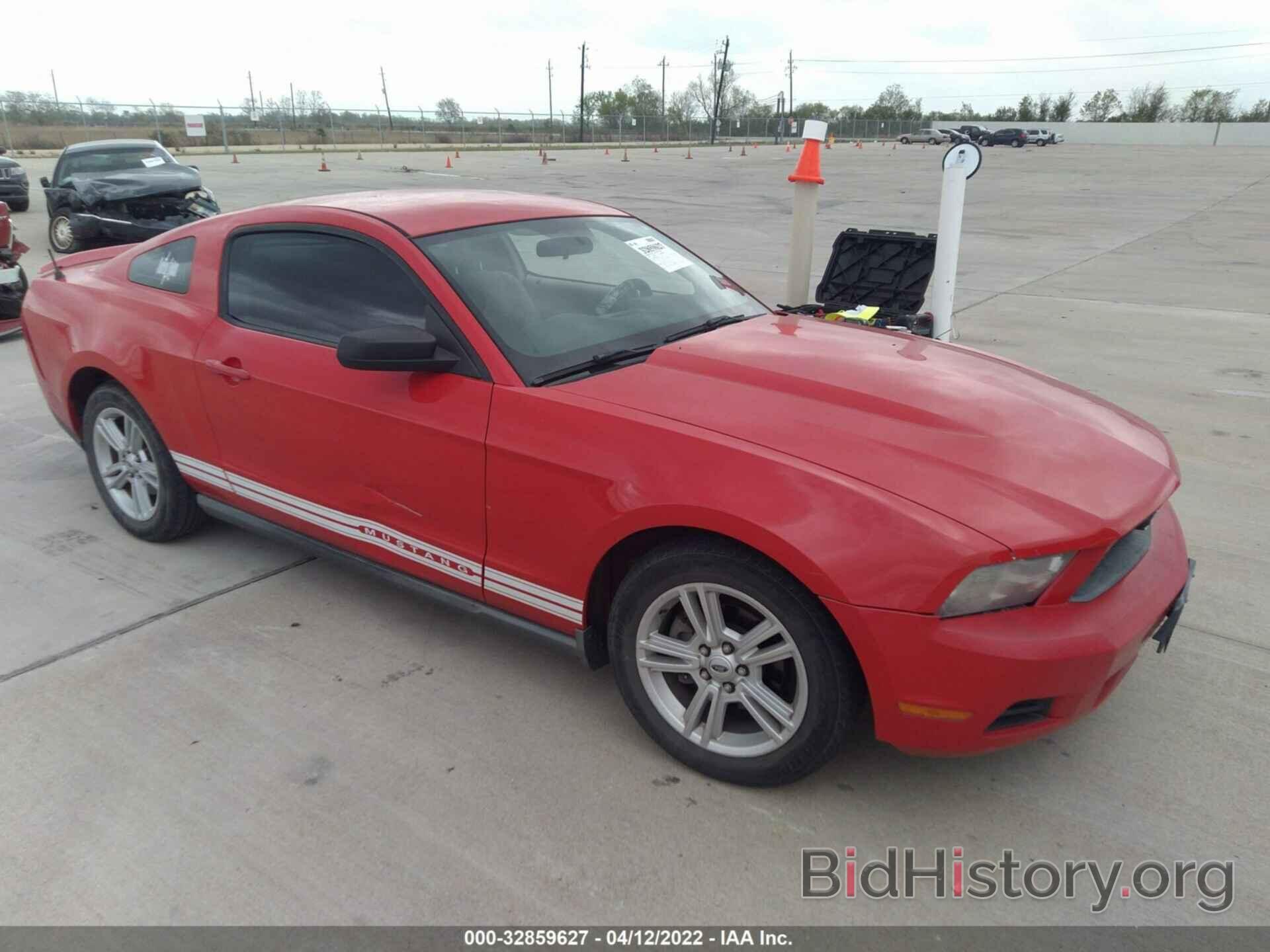 Photo 1ZVBP8AN3A5125704 - FORD MUSTANG 2010