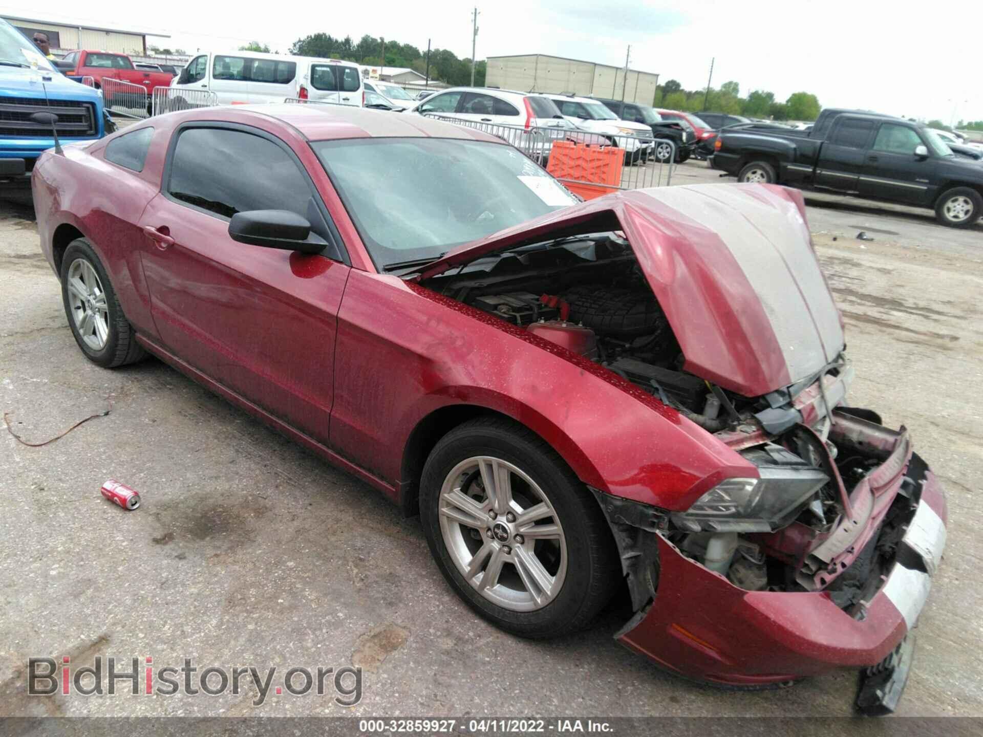 Фотография 1ZVBP8AM7E5334585 - FORD MUSTANG 2014