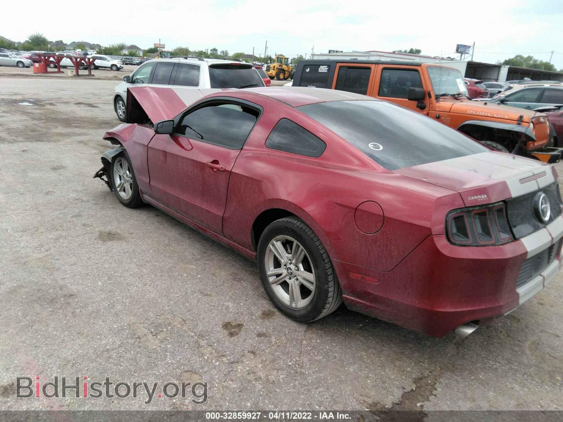 2014 FORD MUSTANG - VIN: 1ZVBP8AM7E5334585 - Фото 3