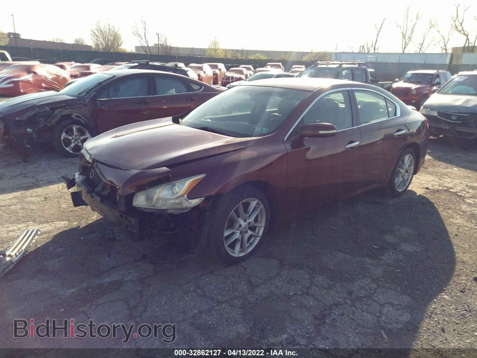 2011 NISSAN MAXIMA - VIN: 1N4AA5AP1BC800615 - Фото 2