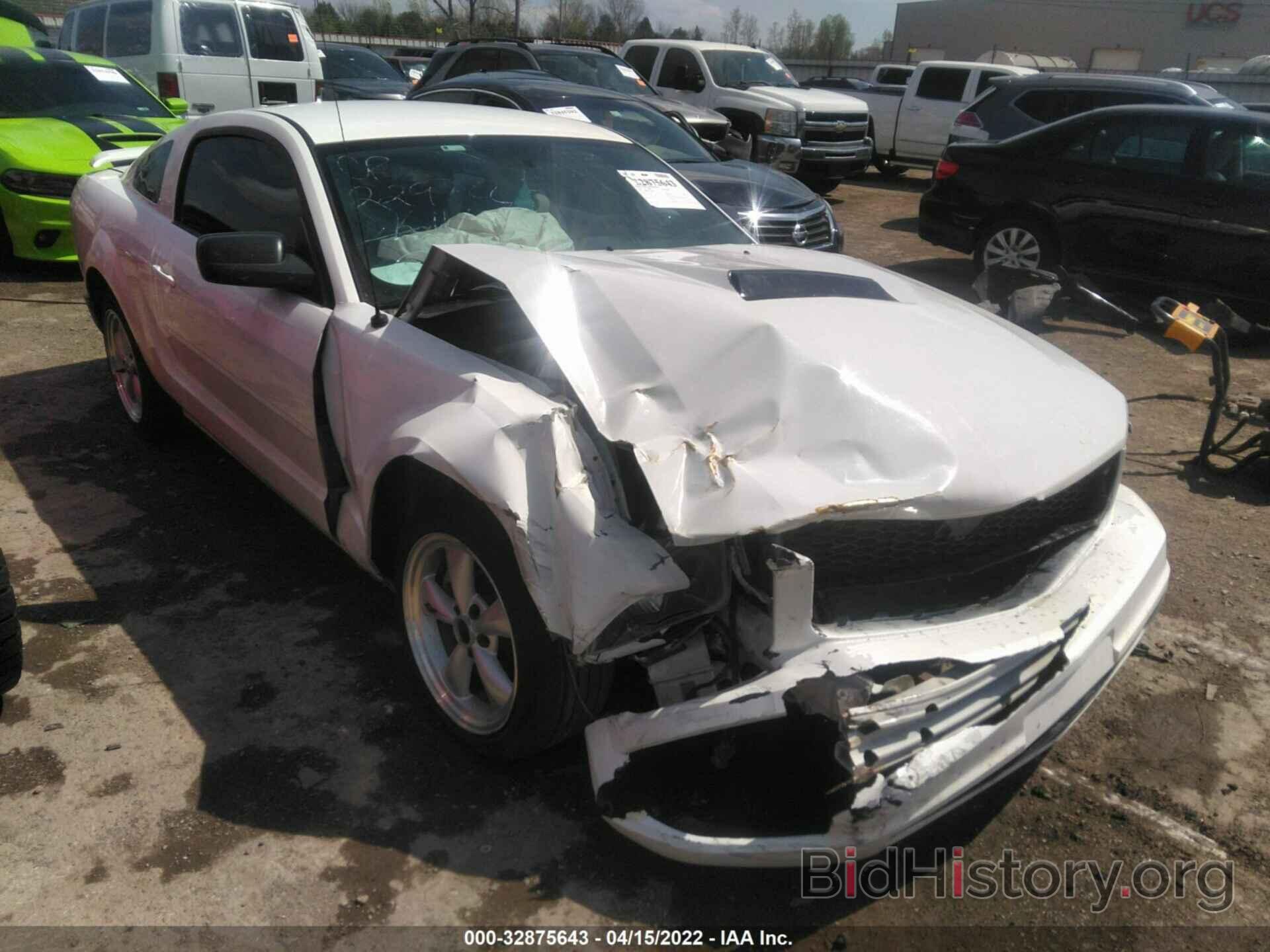 Photo 1ZVHT80NX85200769 - FORD MUSTANG 2008