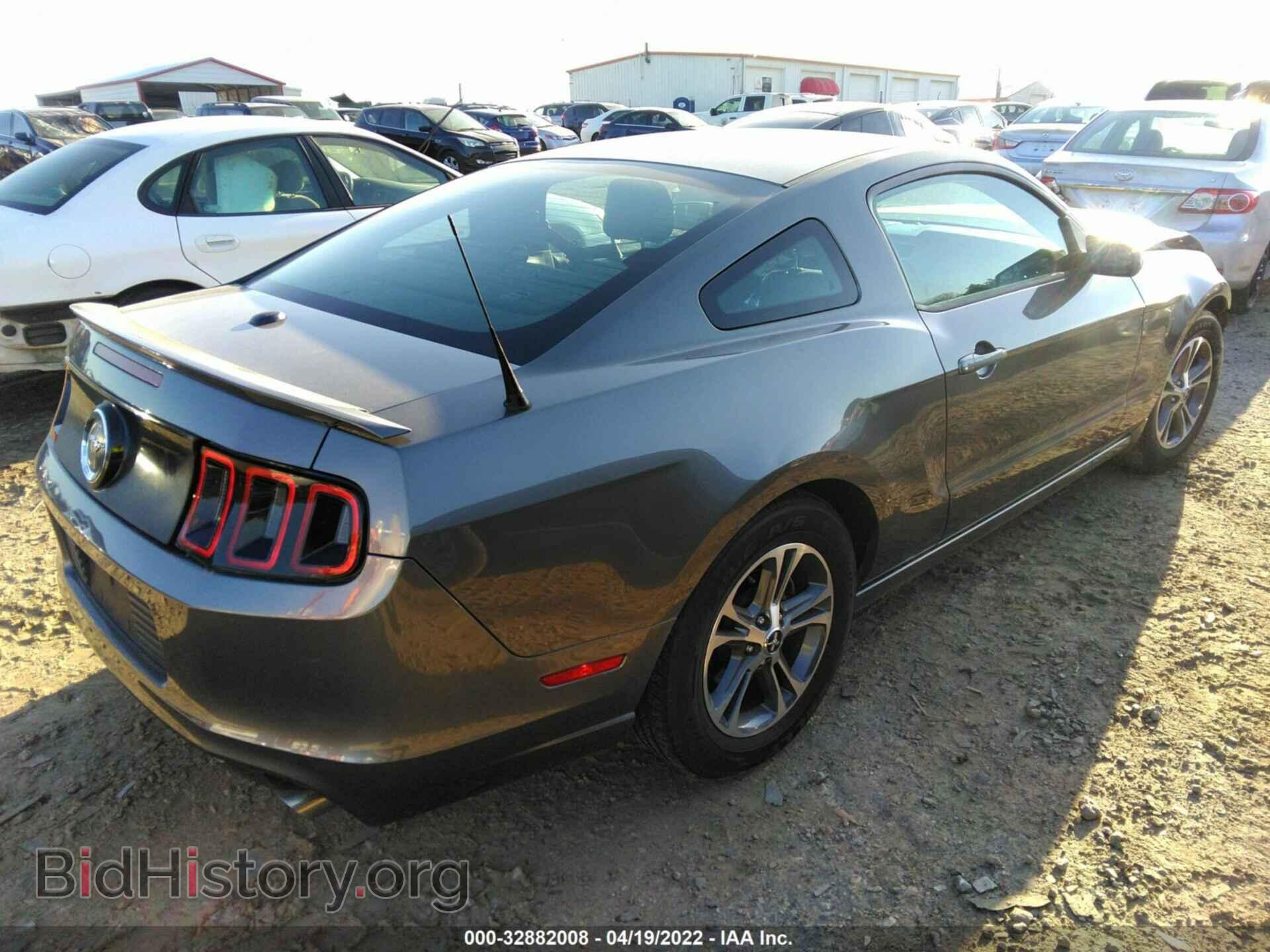 2013 FORD MUSTANG - VIN: 1ZVBP8AM6D5260381 - Фото 4