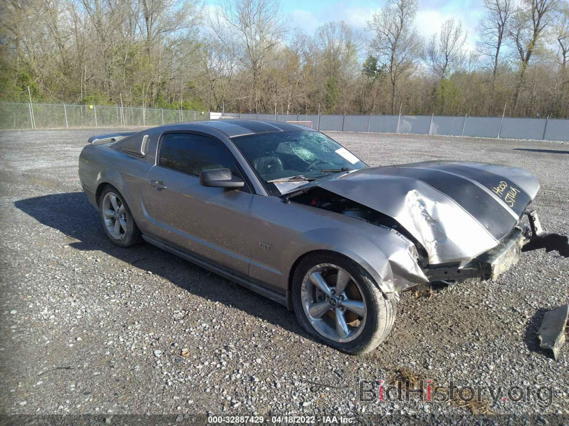 Photo 1ZVHT82H185146768 - FORD MUSTANG 2008