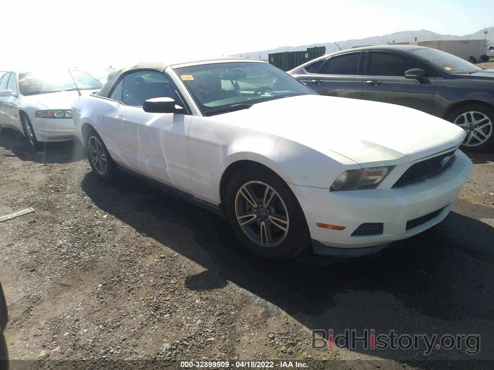 Photo 1ZVBP8EM3C5230523 - FORD MUSTANG 2012